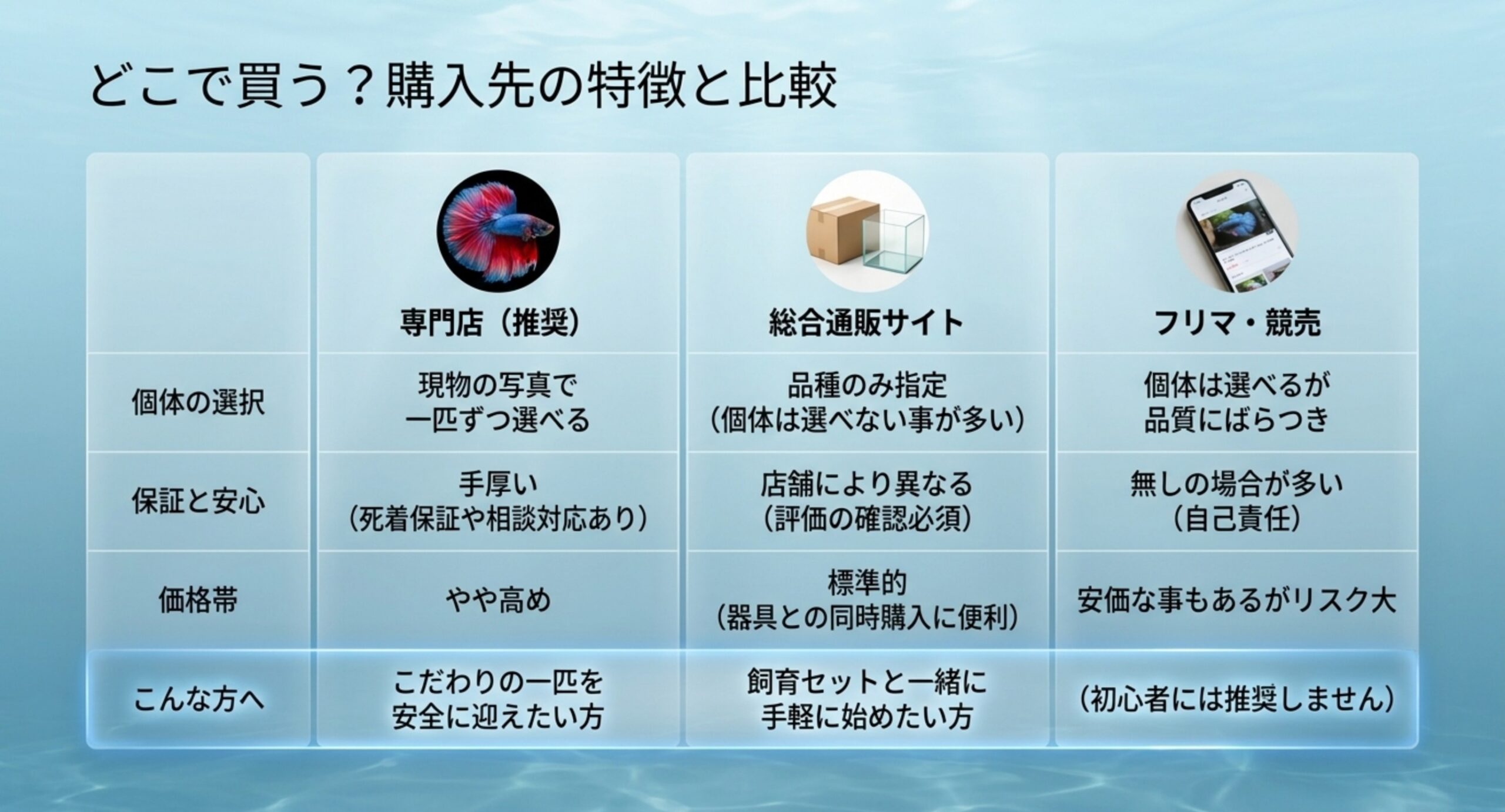専門店・総合通販サイト・フリマ競売の個体選択や保証や価格帯を比較した表