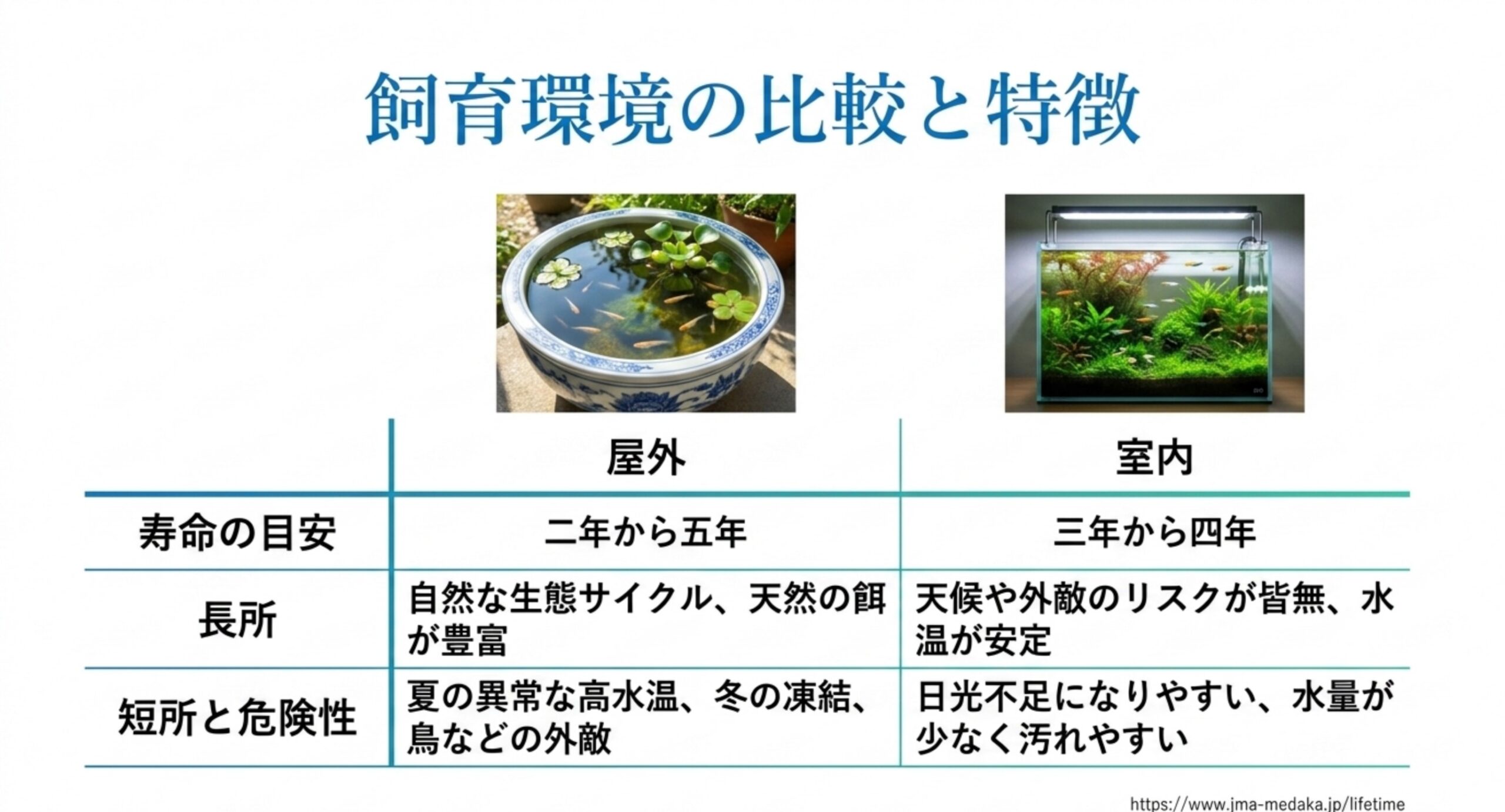 メダカの飼育環境の比較|屋外と室内の寿命・長所・短所 屋外飼育と室内飼育の寿命目安・メリット・リスクを並べた比較表