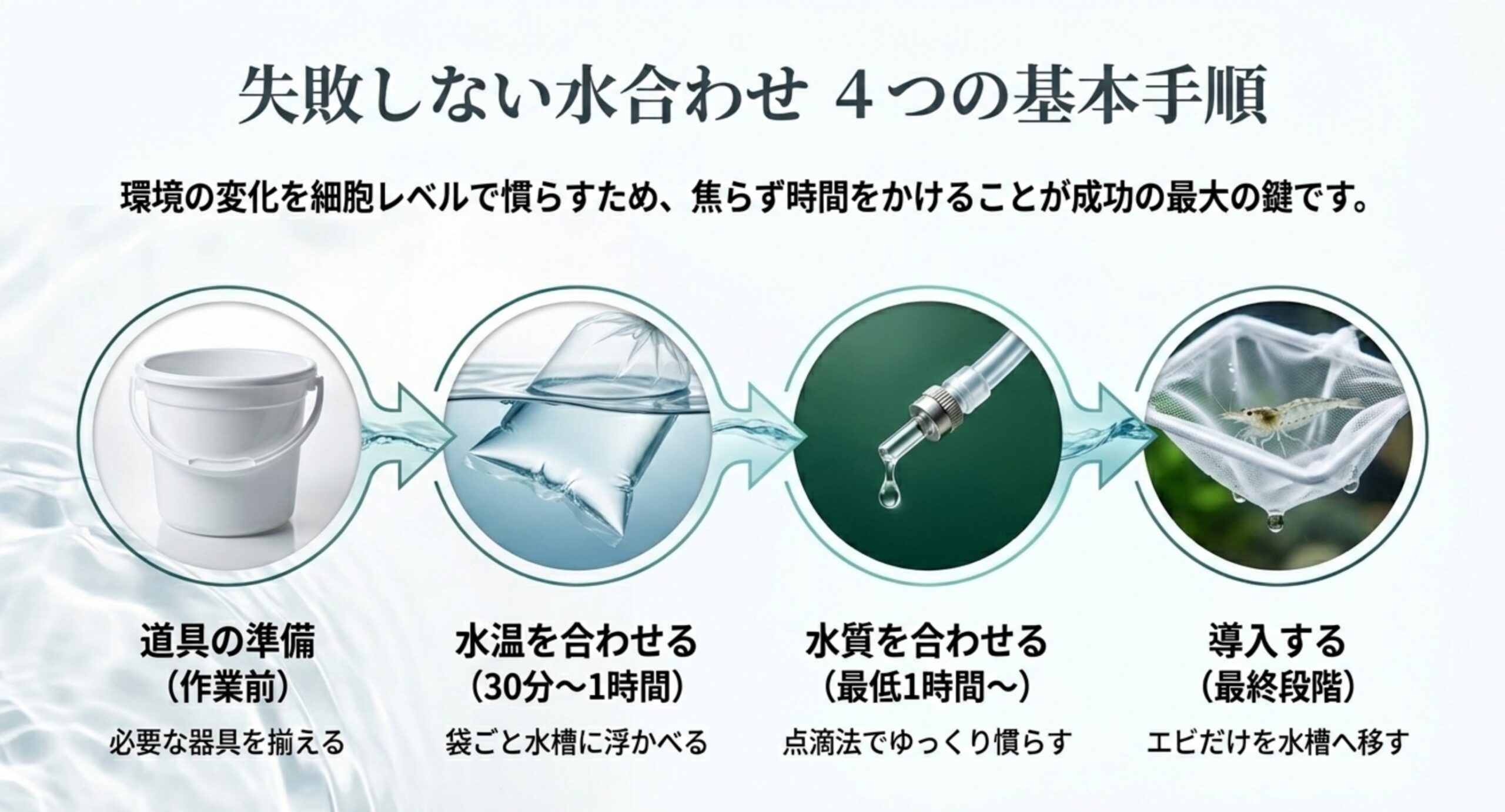 道具の準備・水温合わせ・点滴法での水質合わせ・導入という水合わせ4ステップを矢印で示す図解