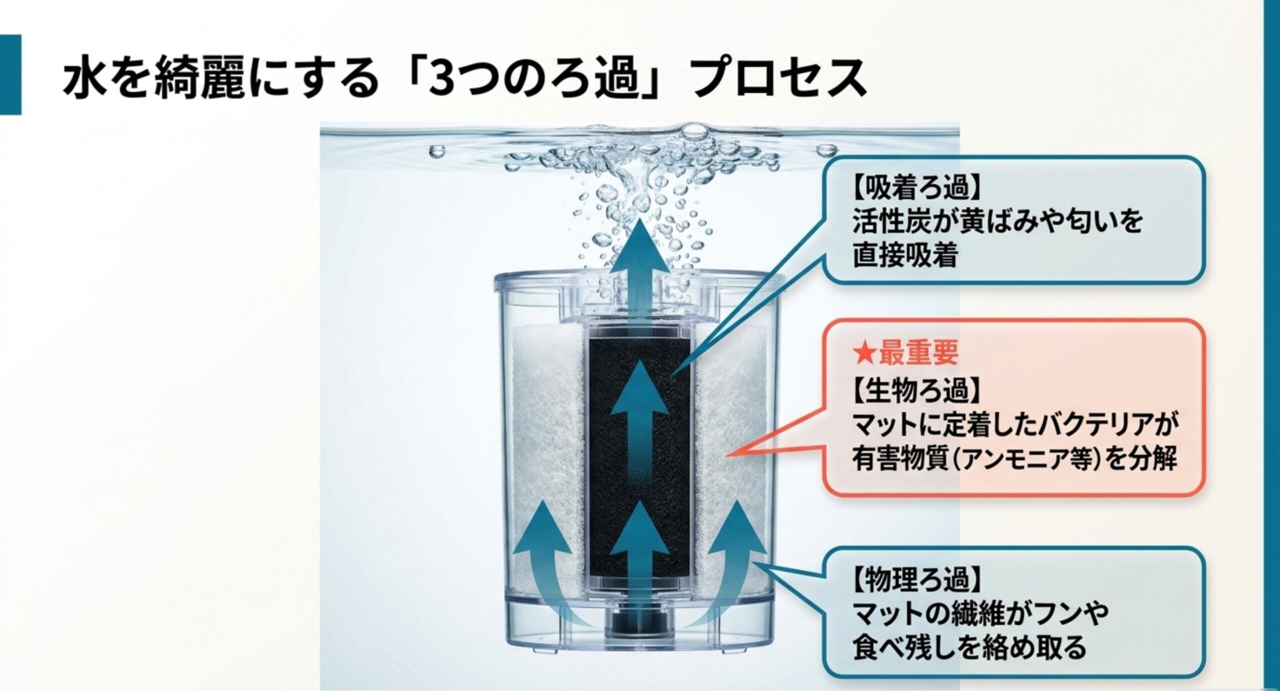ロカボーイS内部の物理ろ過・生物ろ過・吸着ろ過の流れを示した図