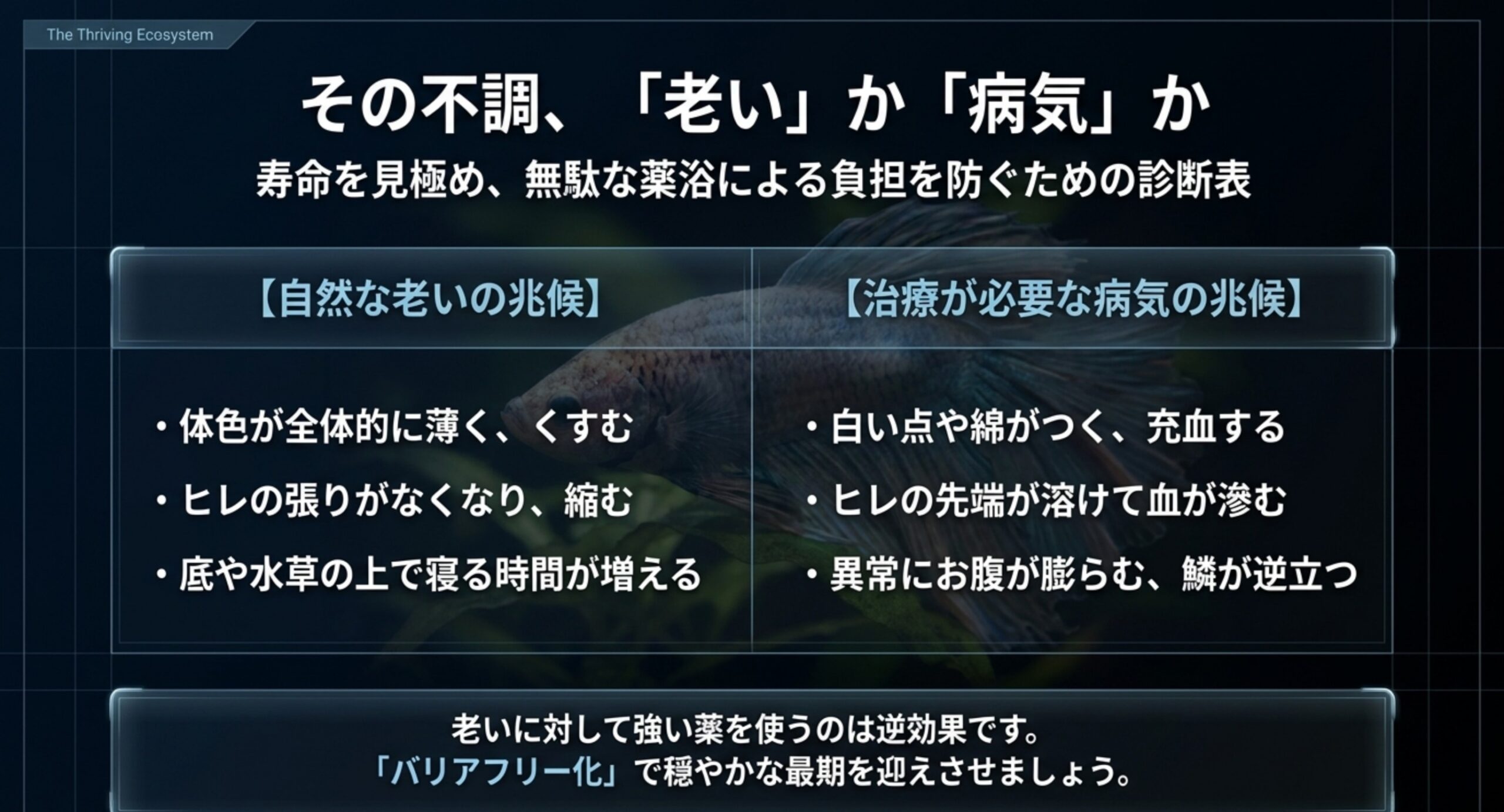 自然な老いの兆候と治療が必要な病気の兆候を比較した診断表