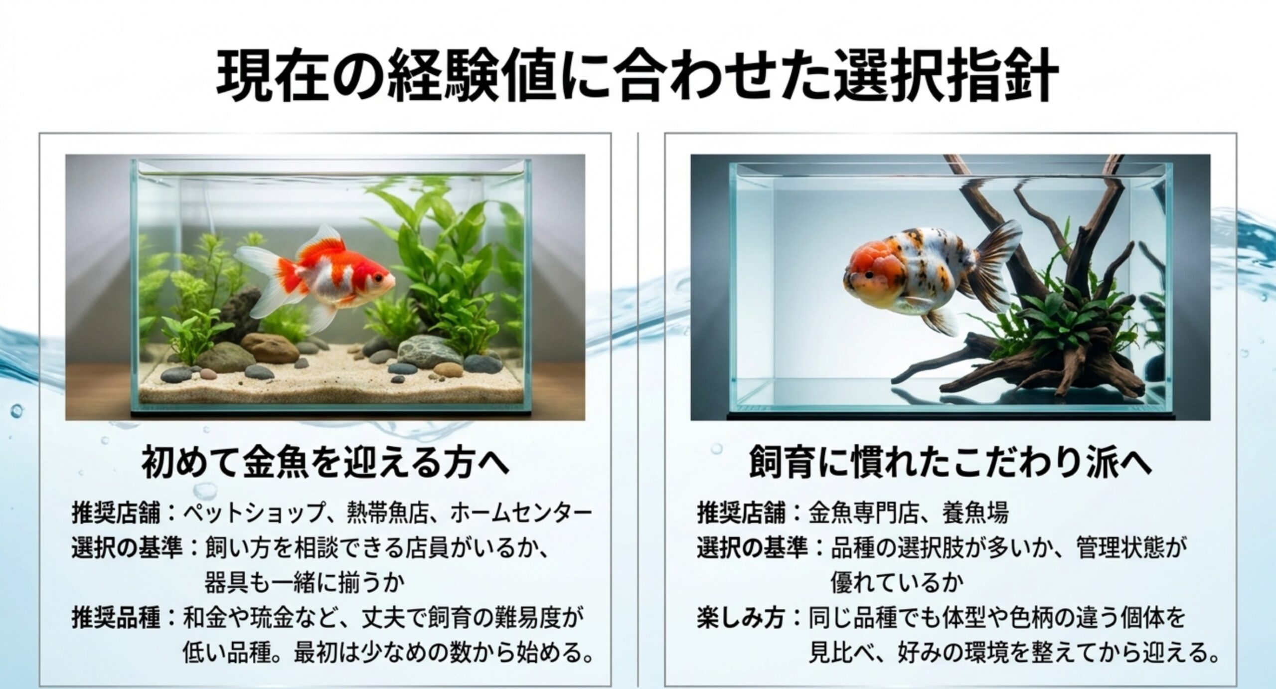 初めて金魚を迎える方と飼育に慣れたこだわり派それぞれに向く店舗と選び方を示す図