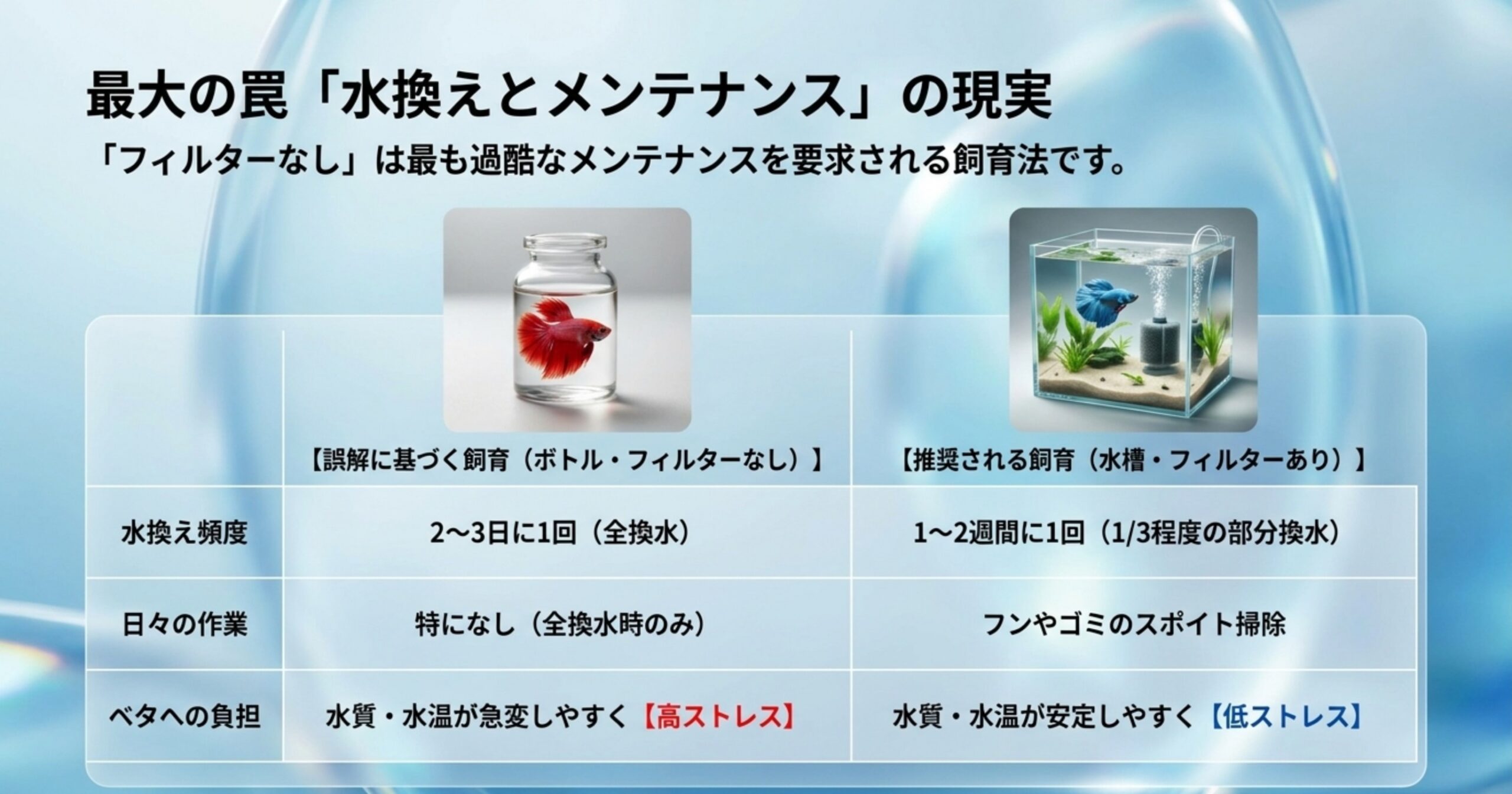 フィルターなし飼育の水換え頻度や手間などベタ飼育のメンテナンスの現実を示したスライド