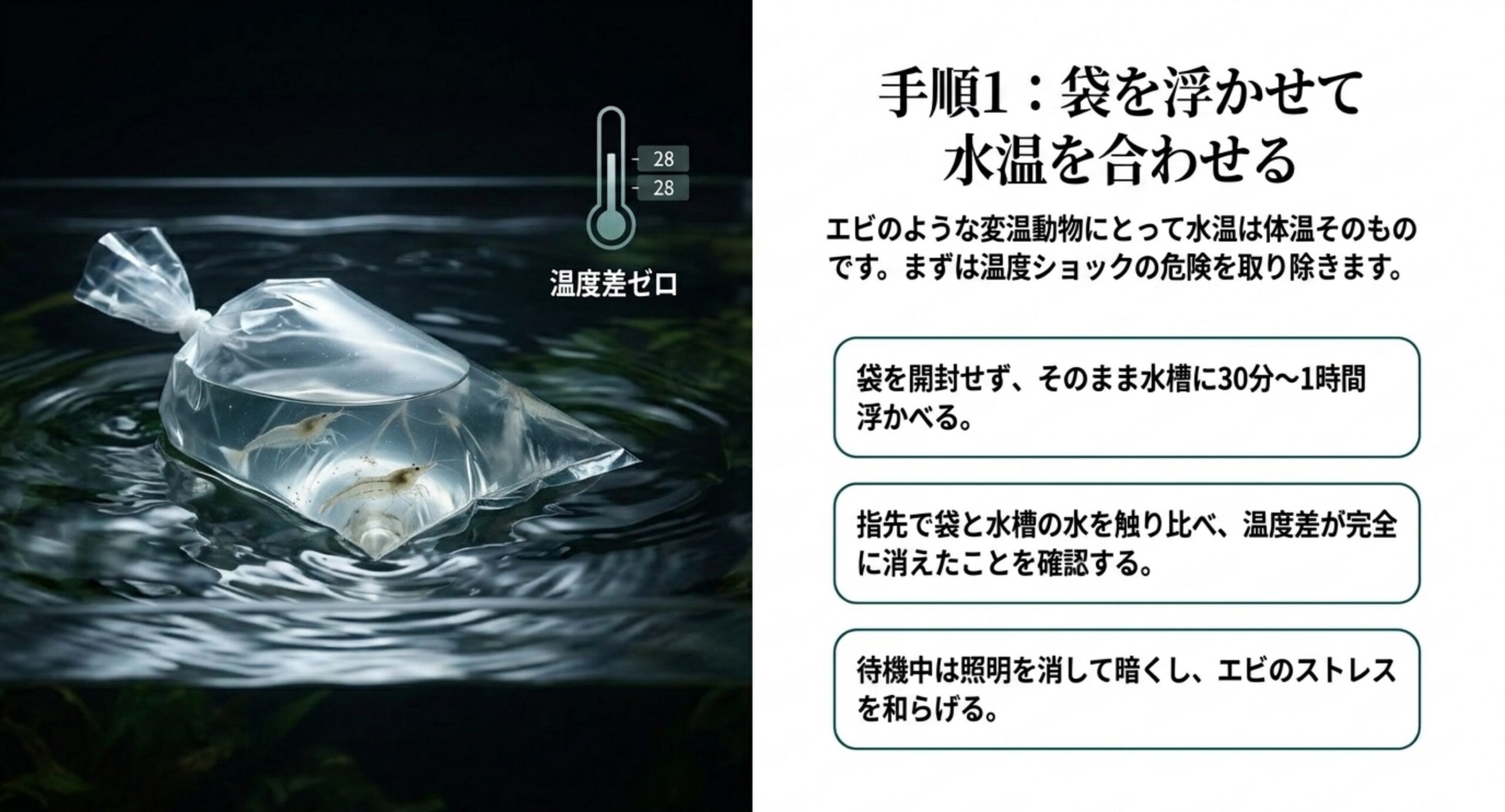 未開封の袋を水槽に浮かべ30分〜1時間かけて水温差をなくす浮かせ法を示す写真と手順