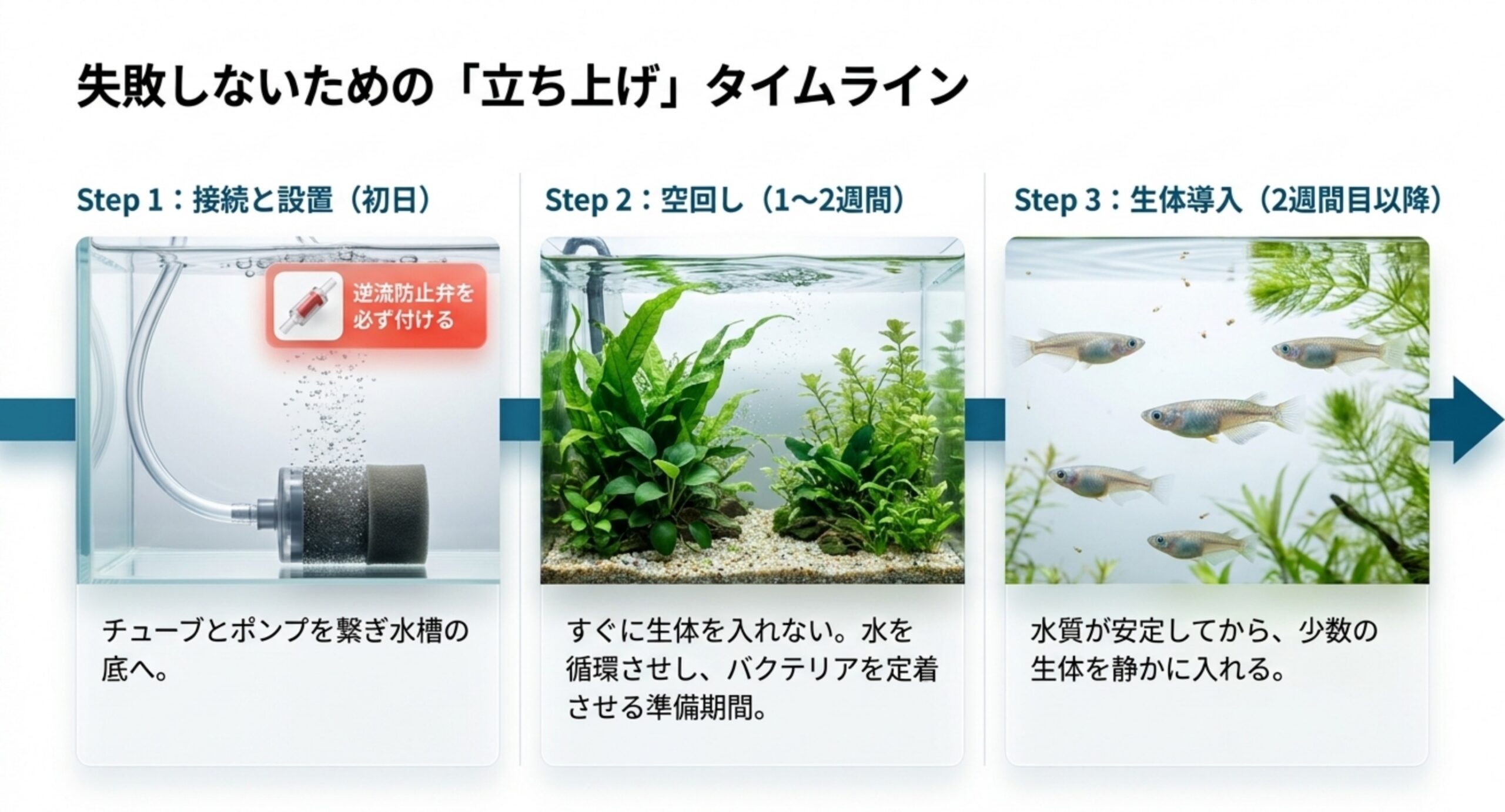 ロカボーイS設置から生体導入までの3ステップを示したタイムライン