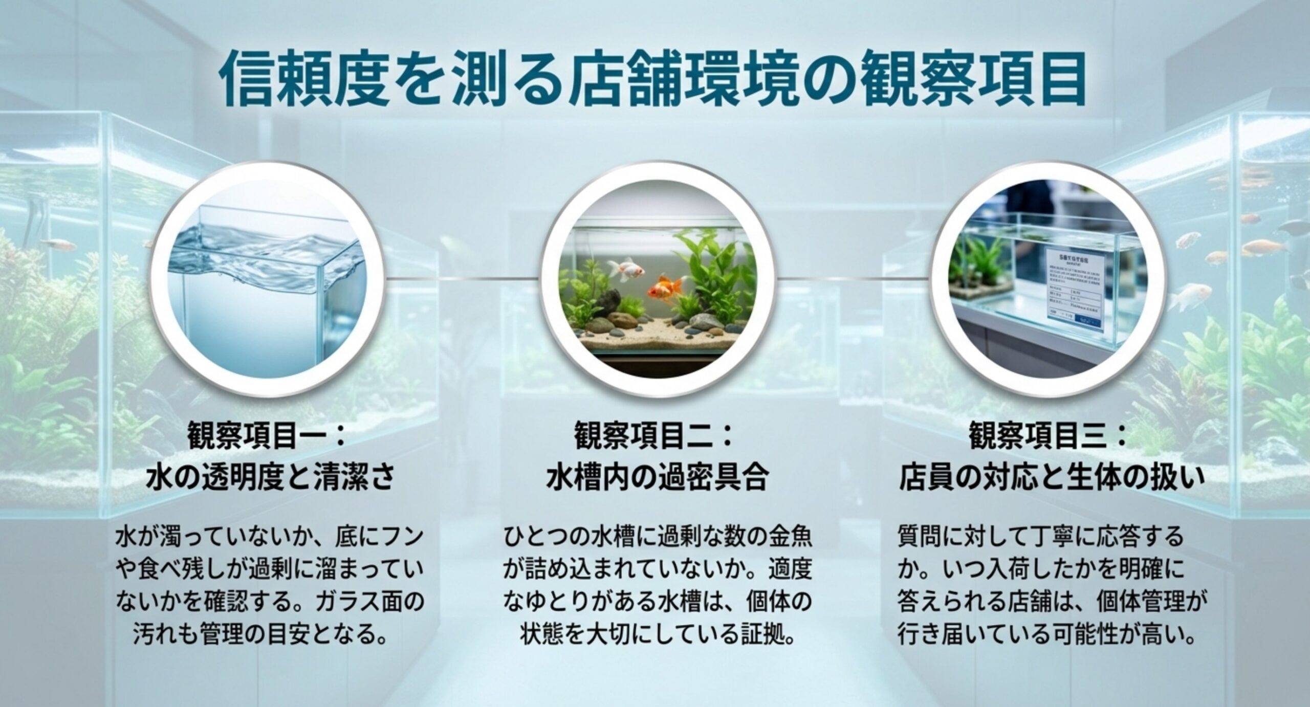 水の透明度と清潔さ、水槽内の過密具合、店員の対応という店舗環境の観察項目を示す図