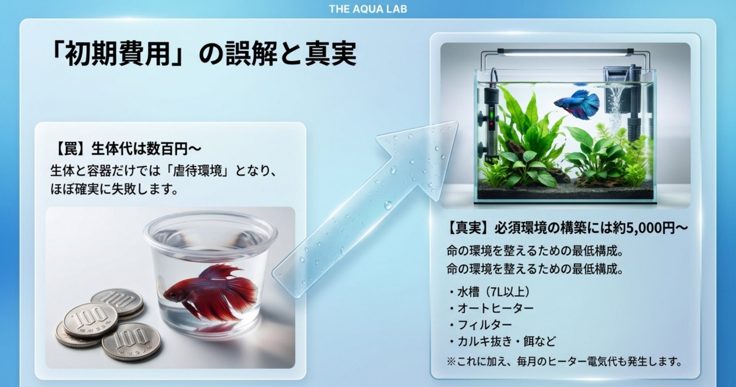 生体価格と水槽・ヒーター・フィルターなど環境一式に必要な初期費用の現実を示したスライド