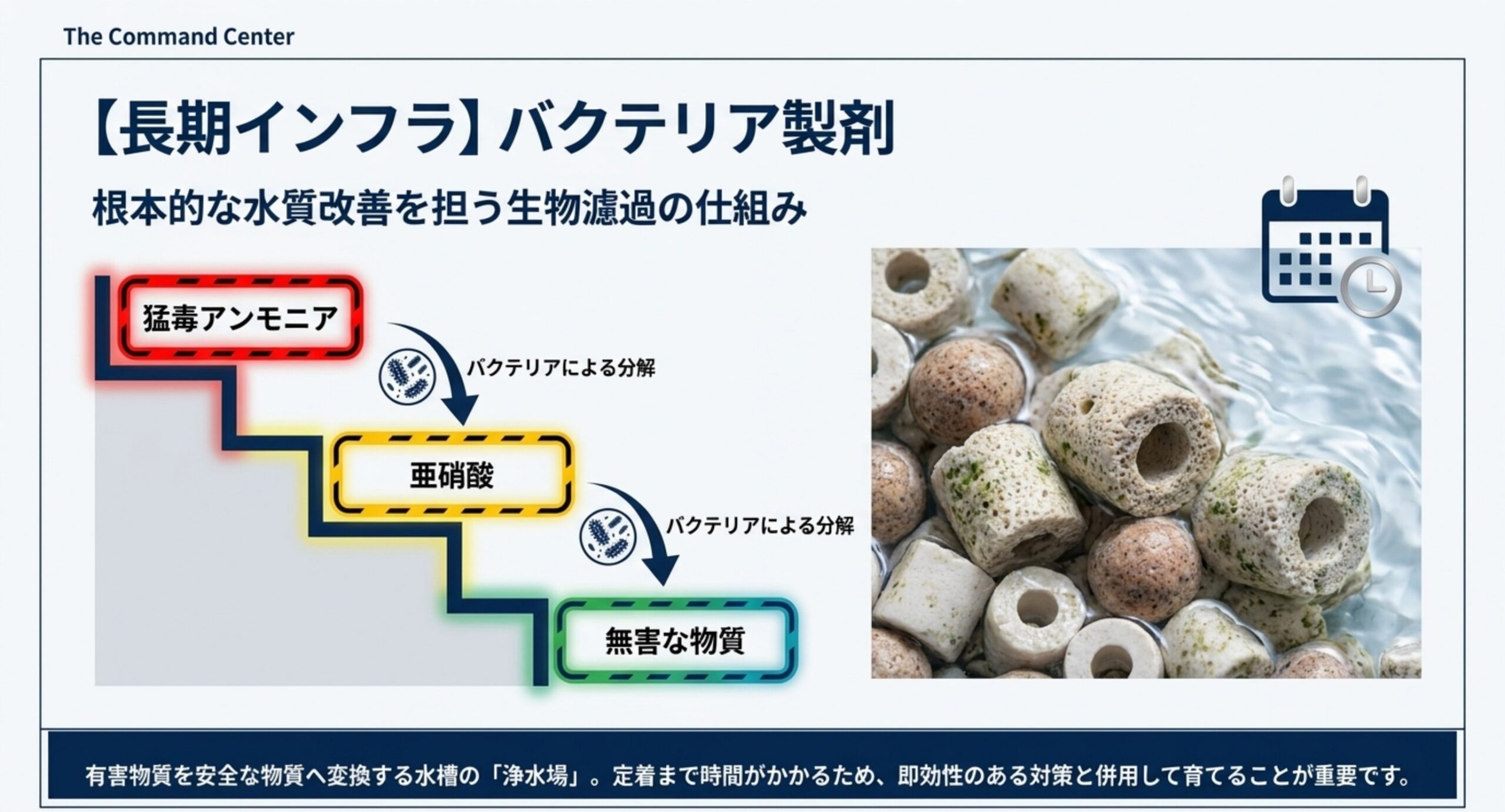 バクテリアがアンモニアを亜硝酸を経て無害な物質へ分解する水槽の窒素循環を示した図