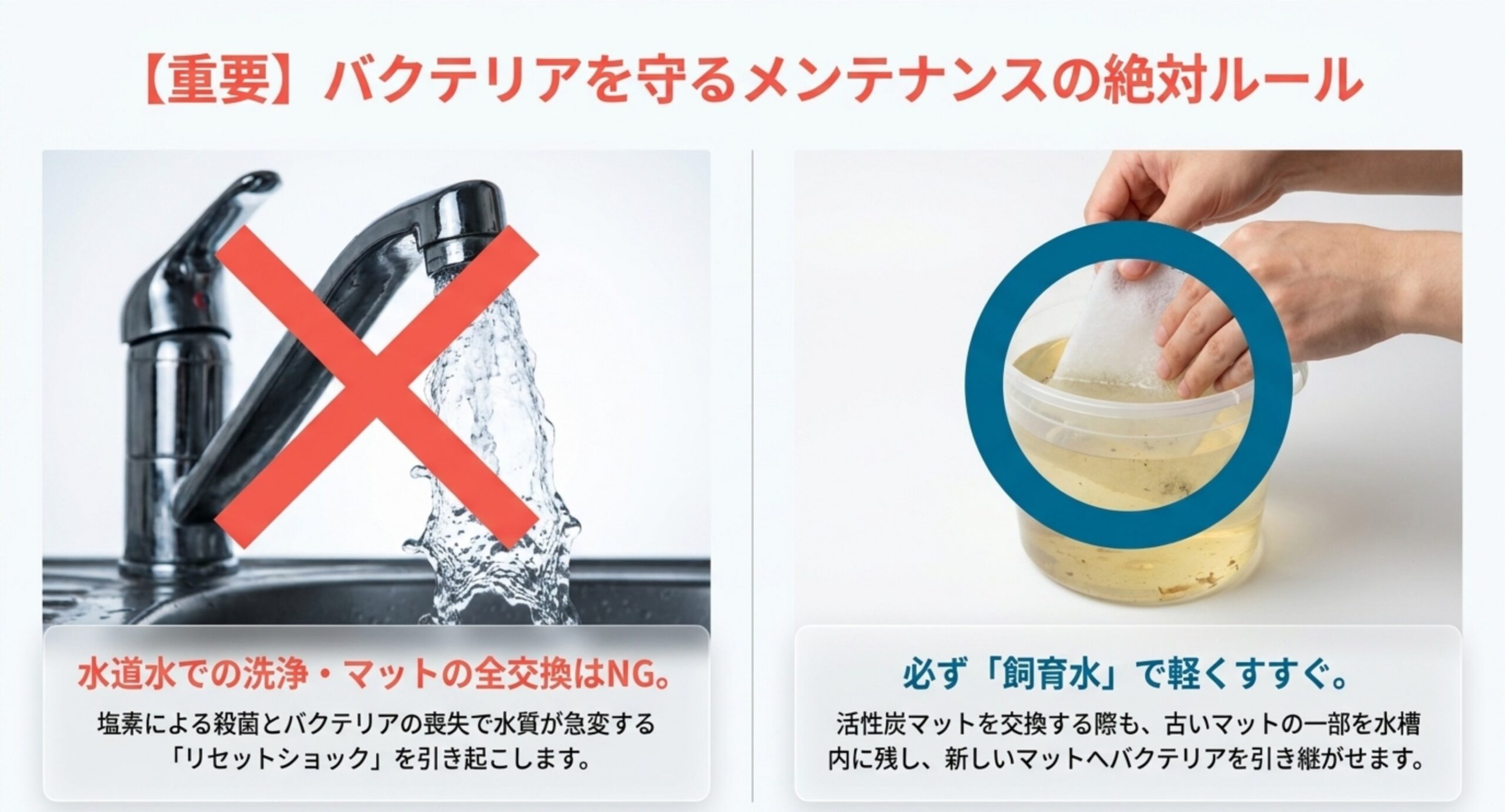 水道水での洗浄や全交換はNG、飼育水で軽くすすぐことを示した図