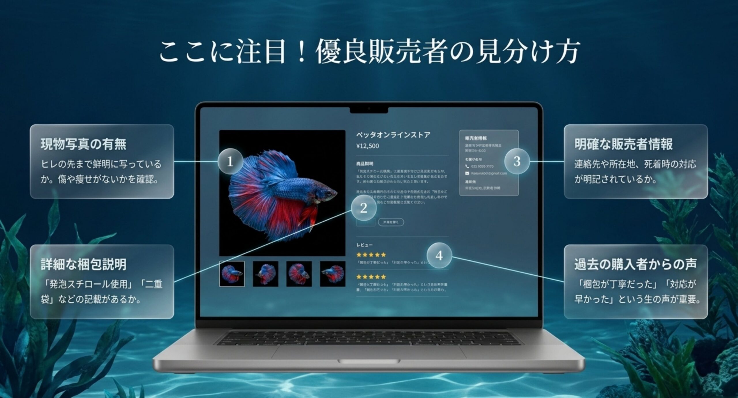 通販ページの例とともに現物写真や梱包説明やレビューなど優良販売者を見分けるポイントを示した図