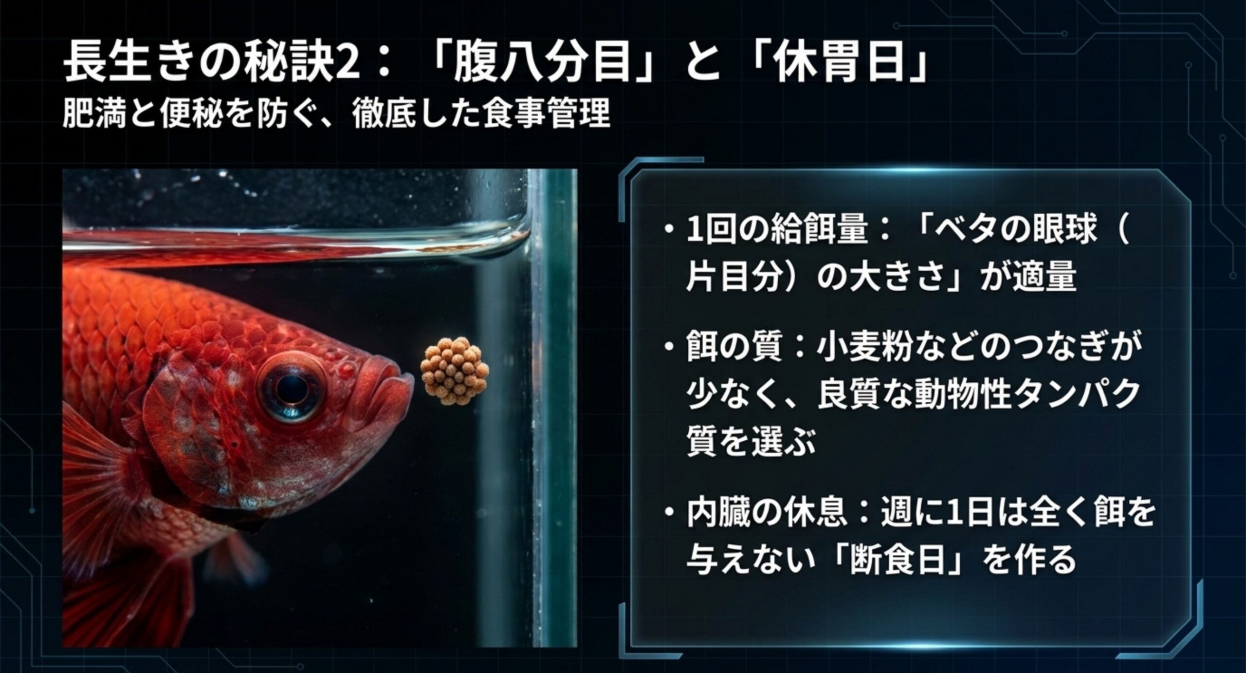 適切な給餌量と断食日など餌やりのコツを示した図