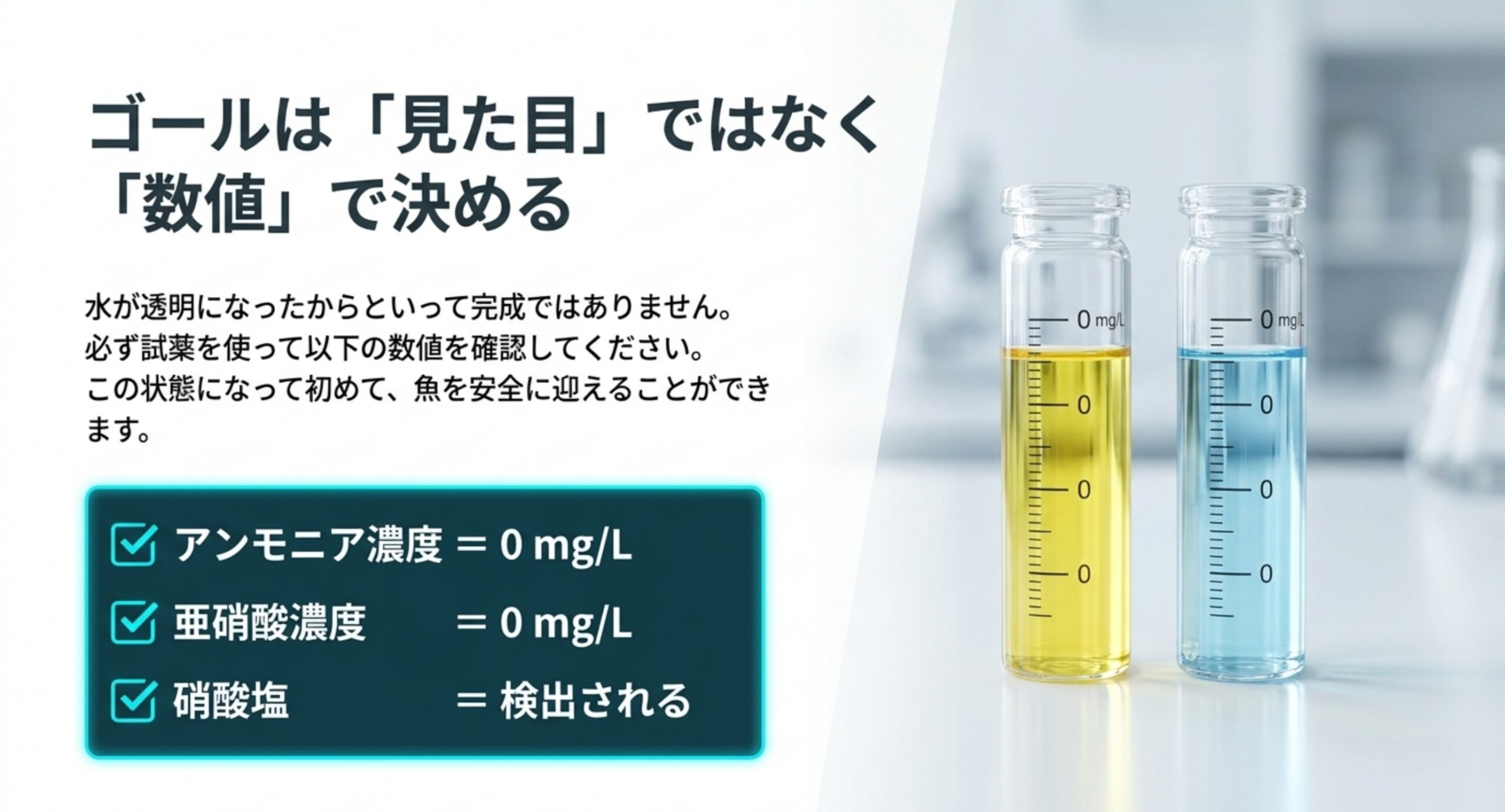 アンモニア・亜硝酸・硝酸塩の試薬結果で立ち上げ完了を確認する図