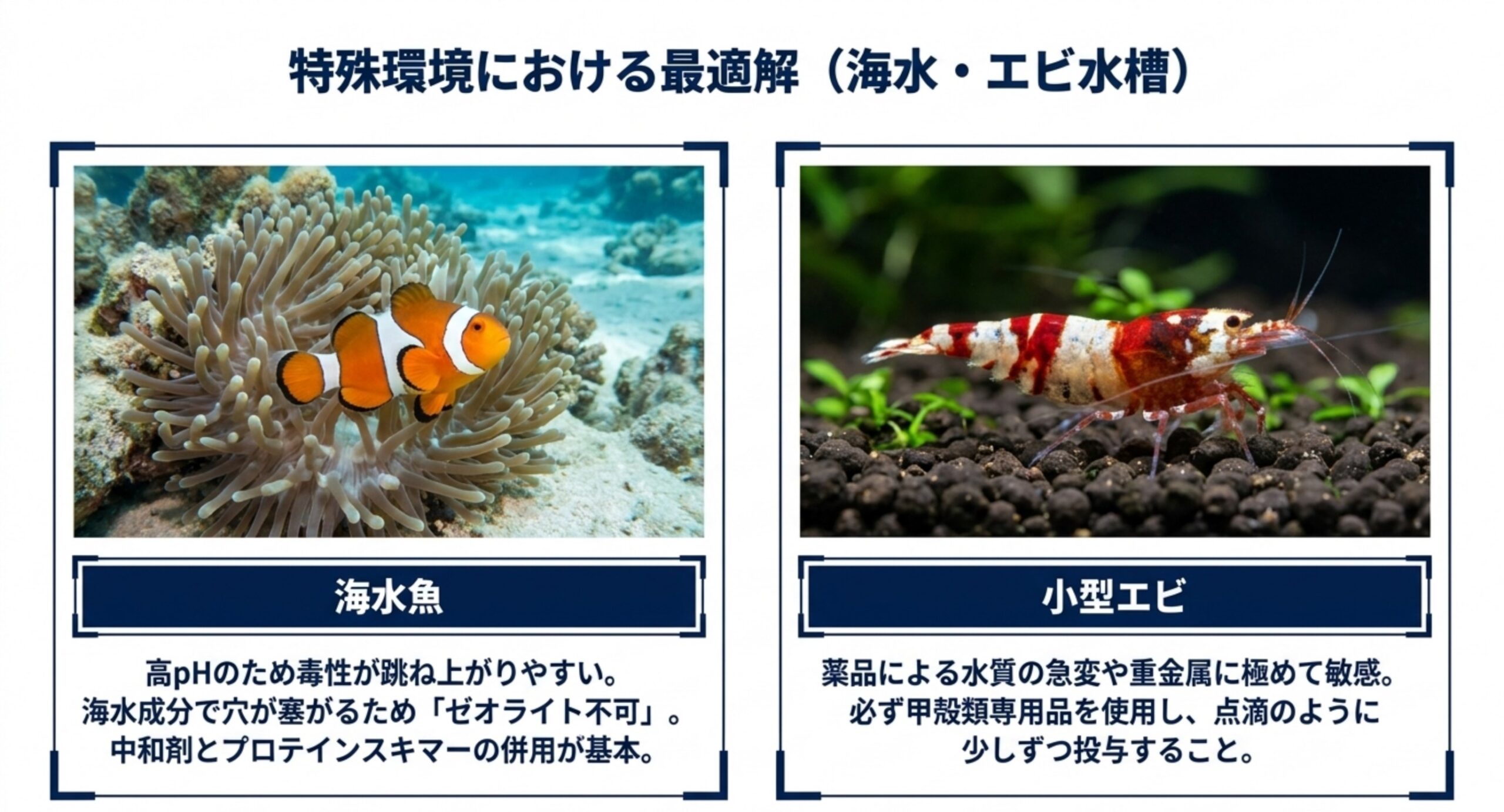 海水魚は高pHで毒性が上がりやすく小型エビは薬品に敏感なため少量ずつ投与すべきという飼育環境別の注意点の図