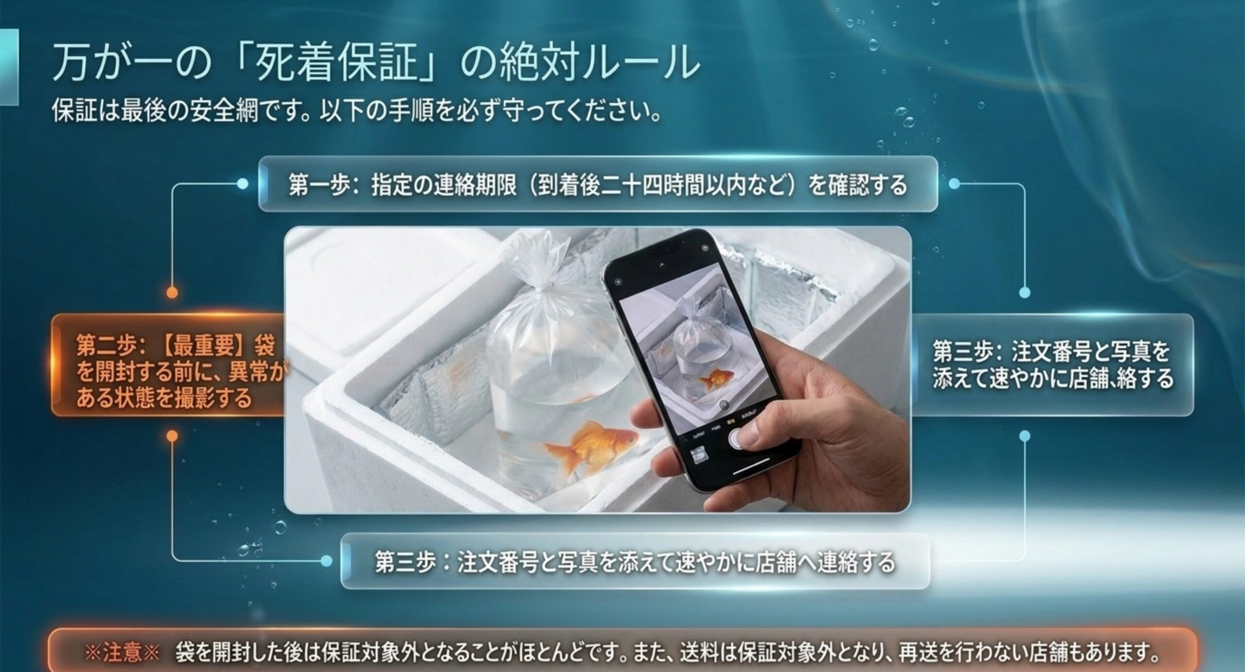 金魚通販の死着保証を受けるための連絡期限・開封前撮影・連絡という手順を示した図