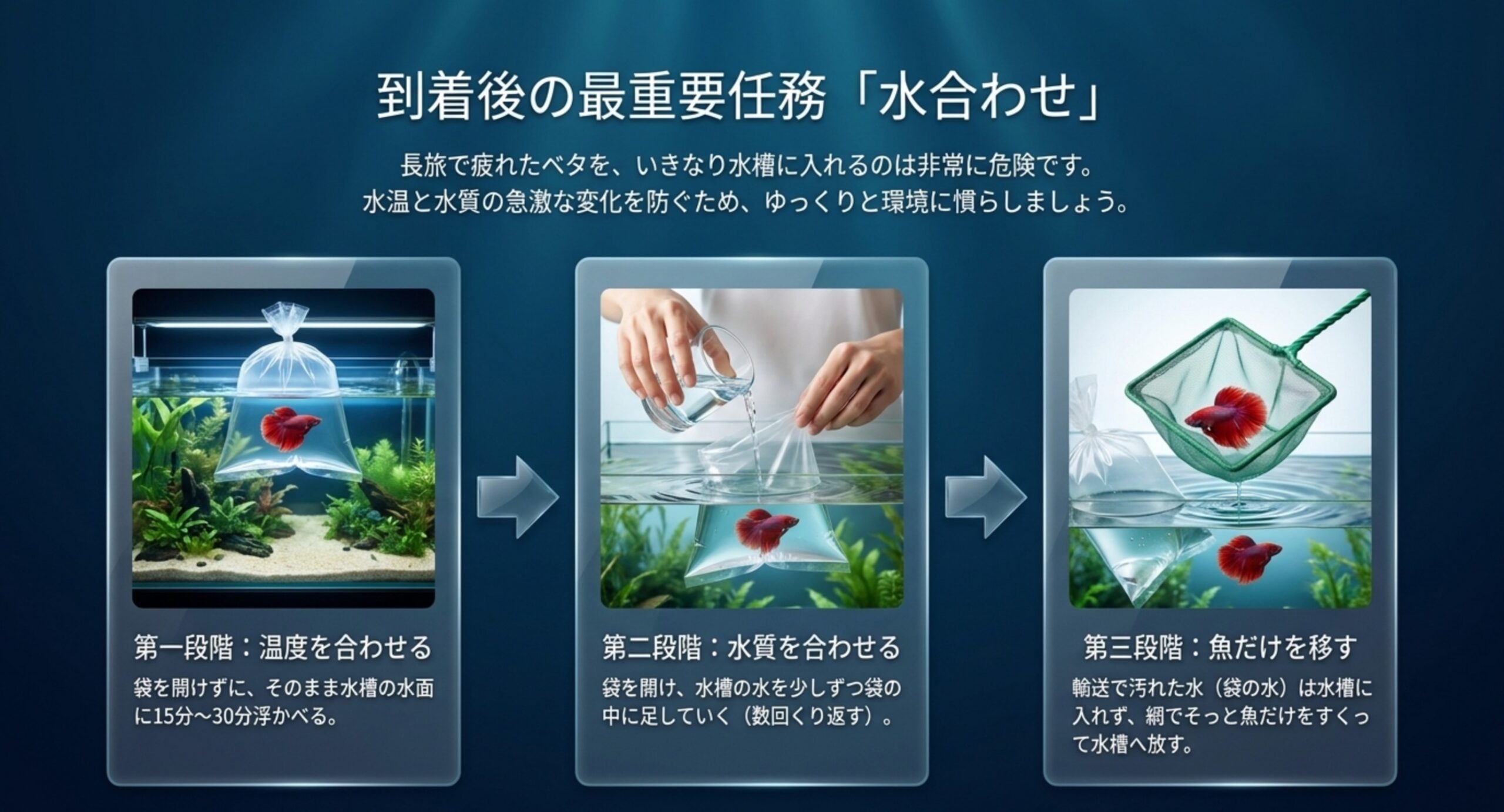 温度を合わせる・水質を合わせる・魚だけを移すという水合わせの三段階を示した図