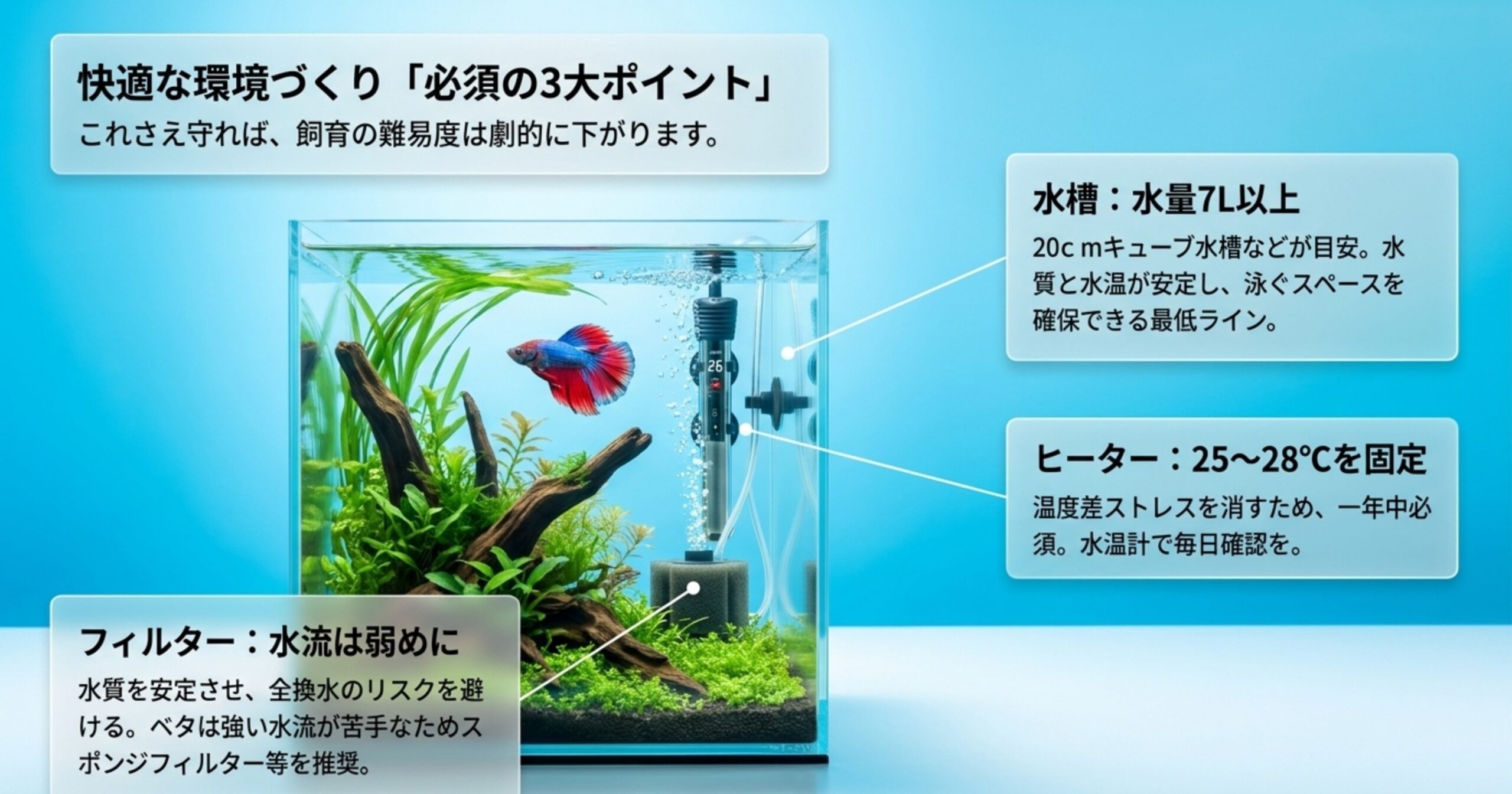 水量・水温25〜28℃・フィルターなどベタの環境づくりの要点を示したスライド