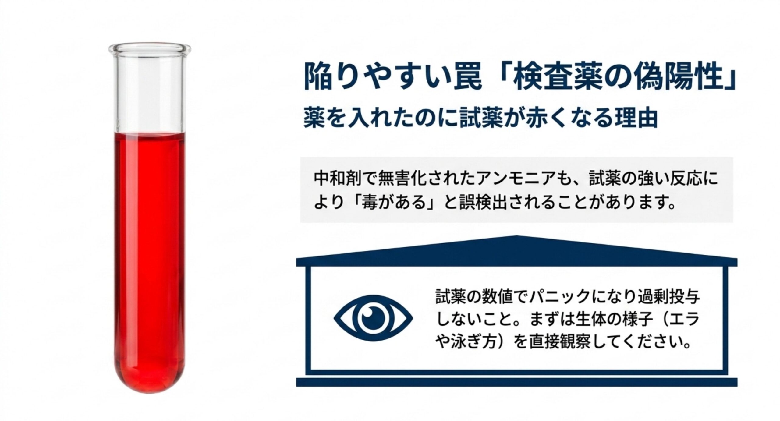 中和剤で無害化したアンモニアが検査薬で赤く反応する偽陽性の仕組みと生体の様子を優先して観察する考え方の図