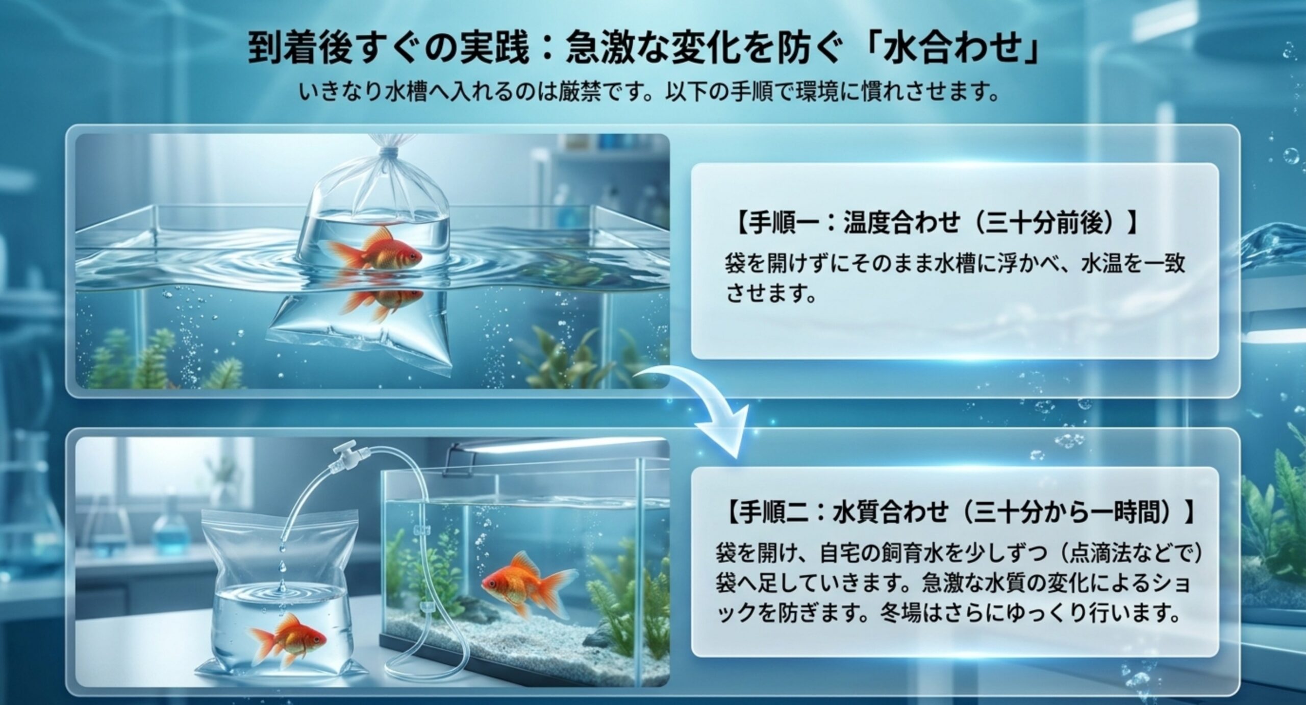 到着した金魚を水温合わせと点滴法で水質合わせする手順の図
