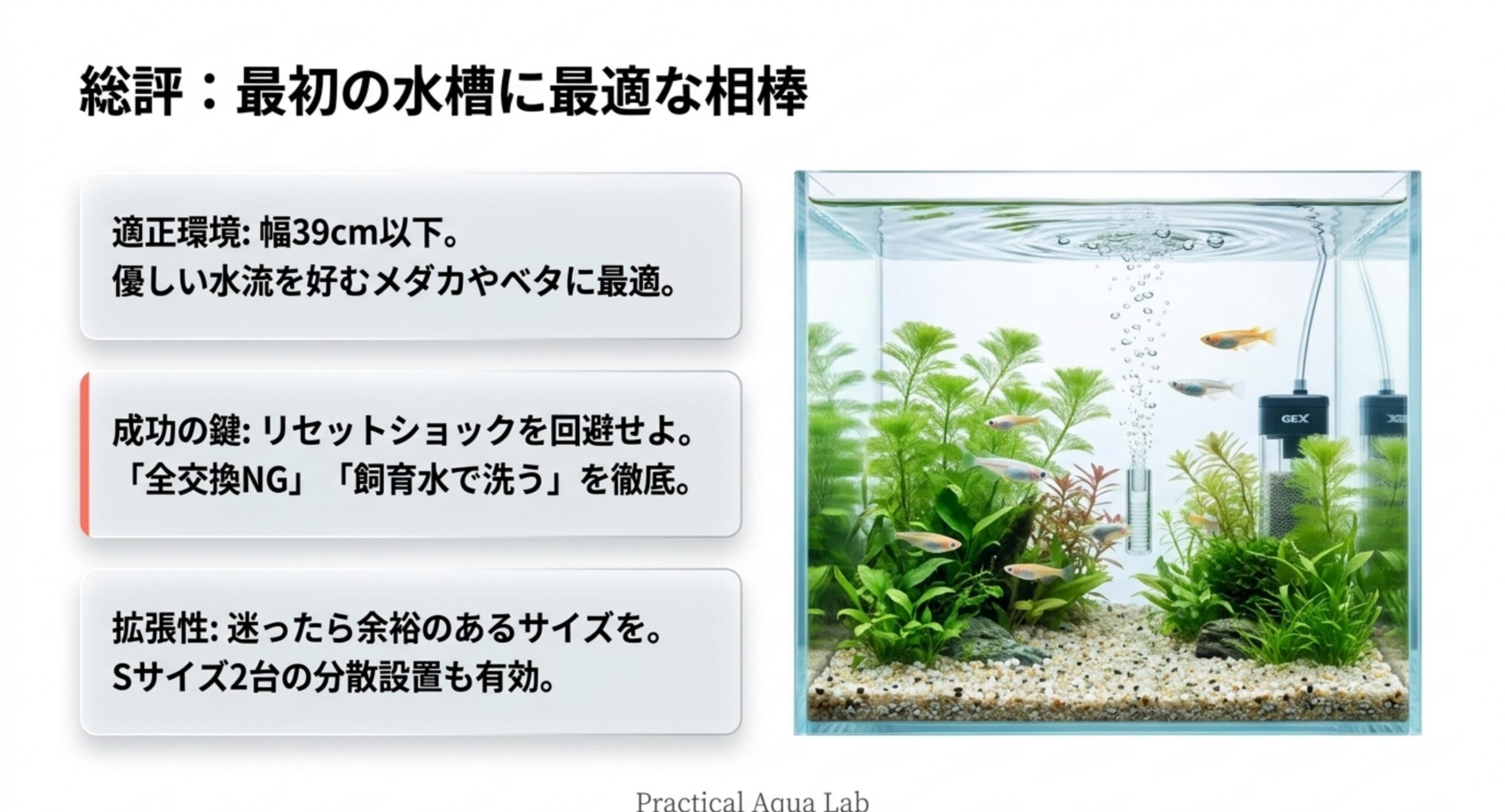 ロカボーイSを設置した水槽と、適正環境・成功の鍵・拡張性のまとめ