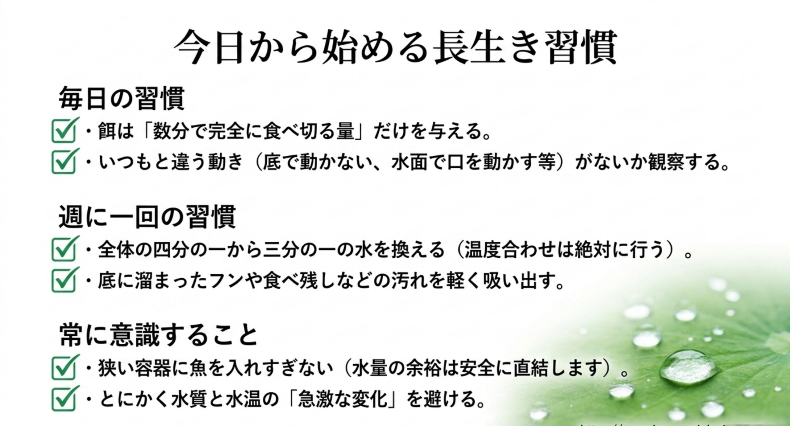 メダカを長生きさせる毎日・週一の飼育習慣 餌の量・水換え・観察など長生きのための飼育習慣をまとめたチェックリスト