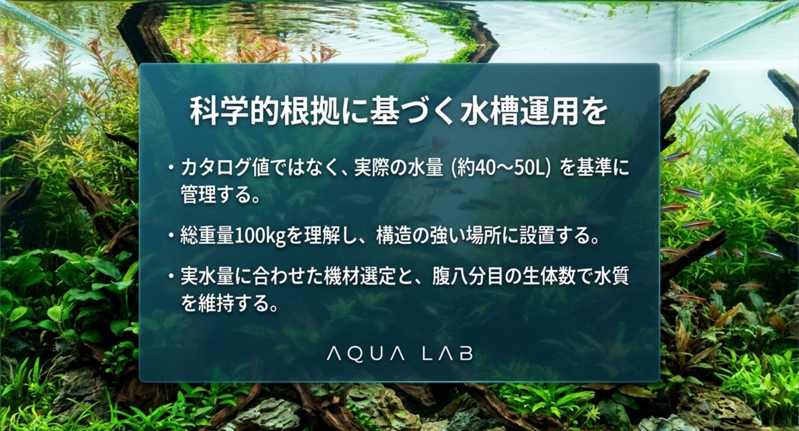 実効水量・総重量・適正な生体数を踏まえた水槽運用のまとめスライド