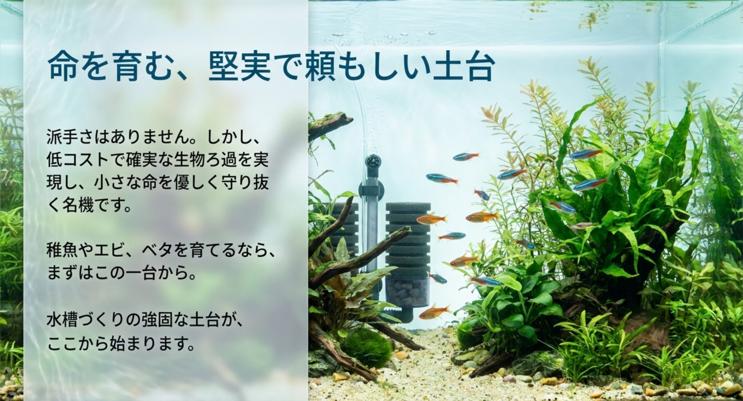 ツインブリラントフィルターを設置した小型魚水槽のまとめイメージ