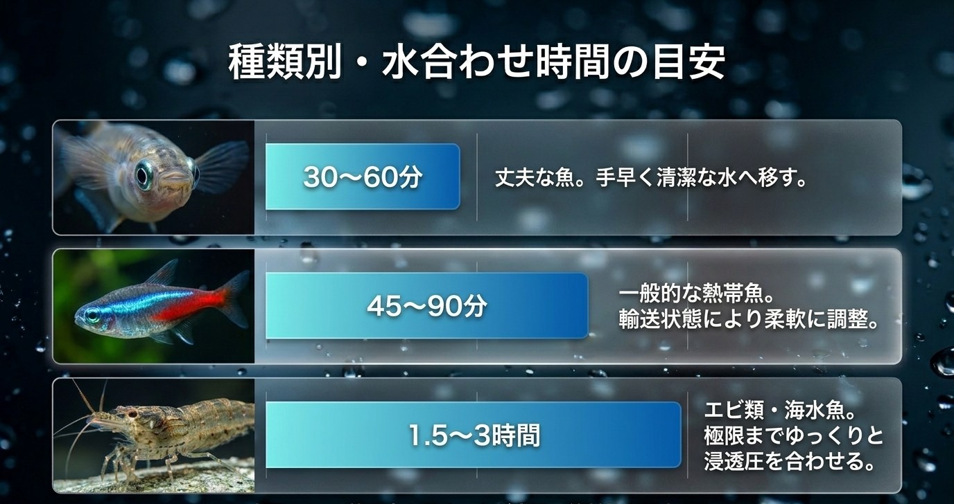 丈夫な魚、一般的な熱帯魚、エビ・海水魚の水合わせ時間の目安を比較した図