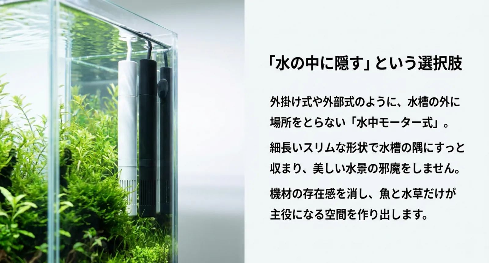 水草水槽の隅に隠すように設置された水中式フィルター