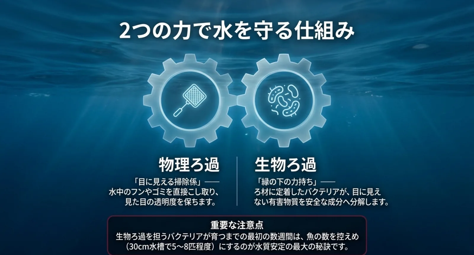 物理ろ過と生物ろ過の役割を歯車で表した図解