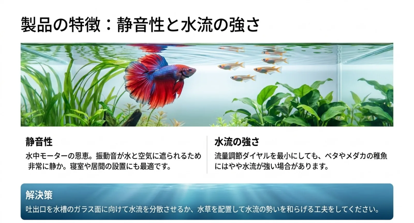 ベタやメダカのいる水槽と静音性・水流調整の解説
