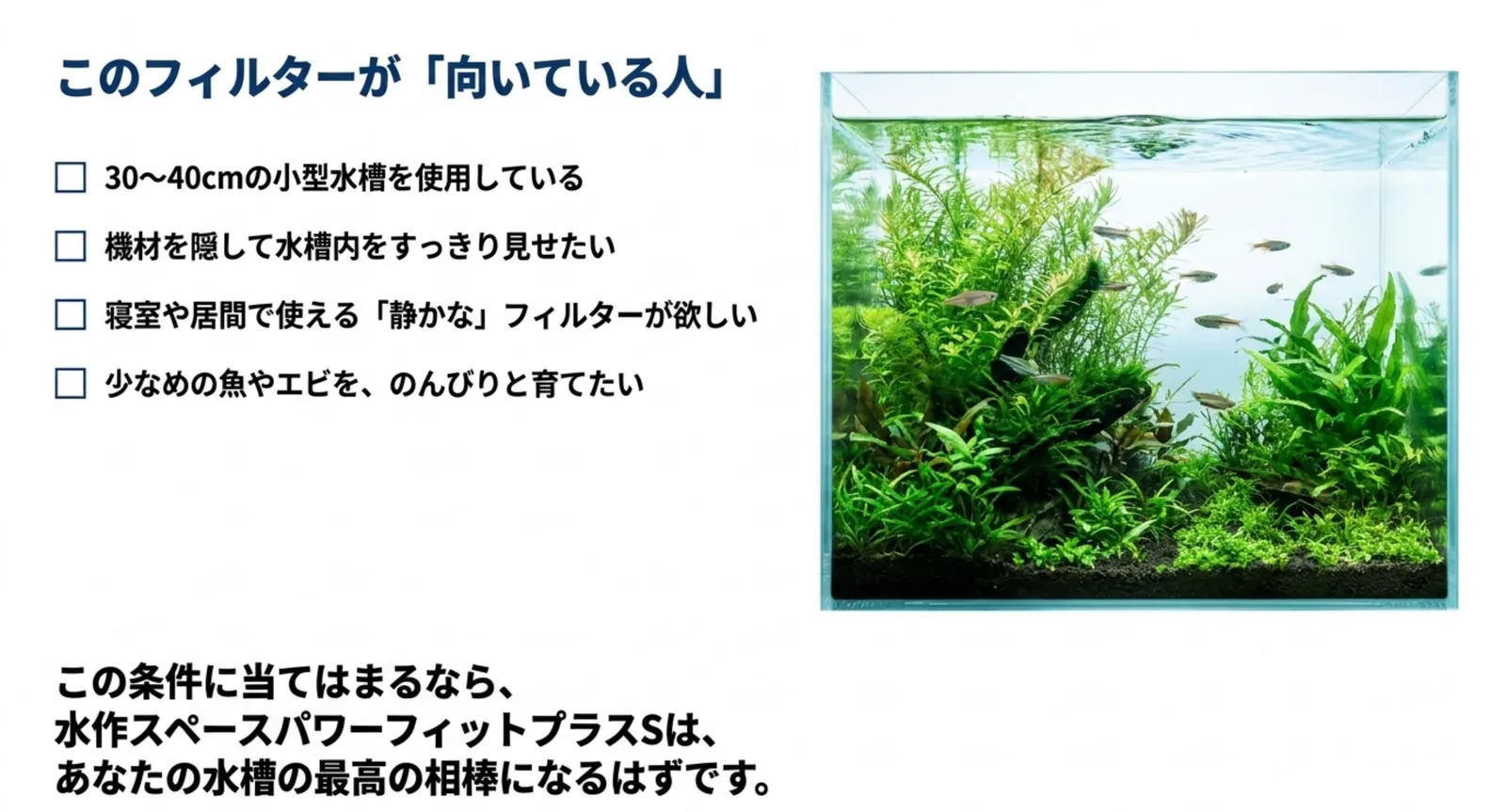 向いている人の条件をまとめたチェックリストと水草水槽