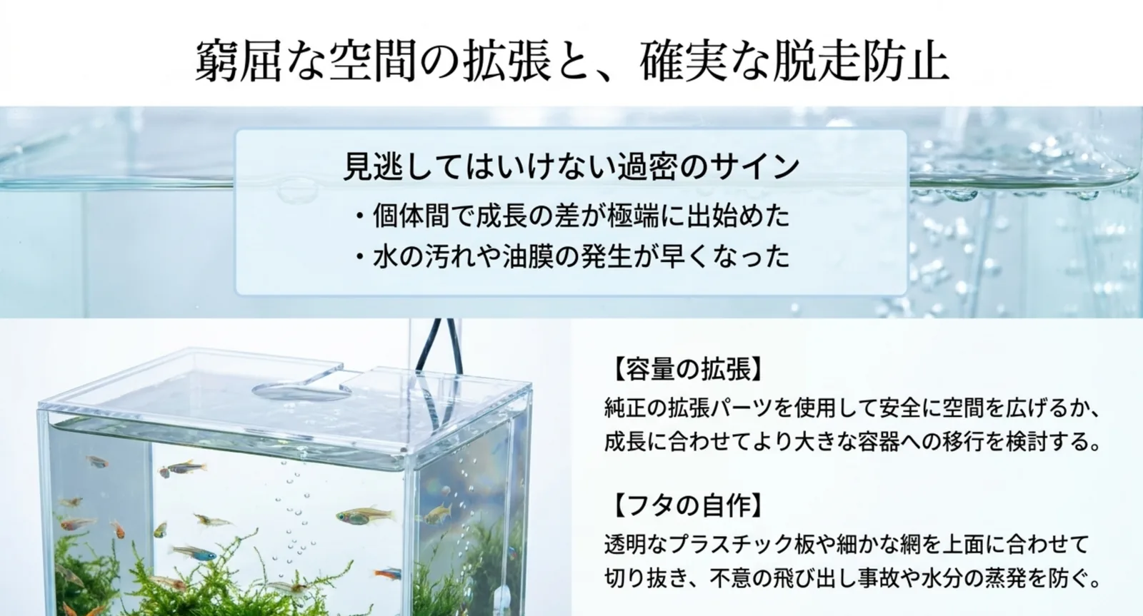 容量を広げたサテライトと自作した透明フタのイメージ