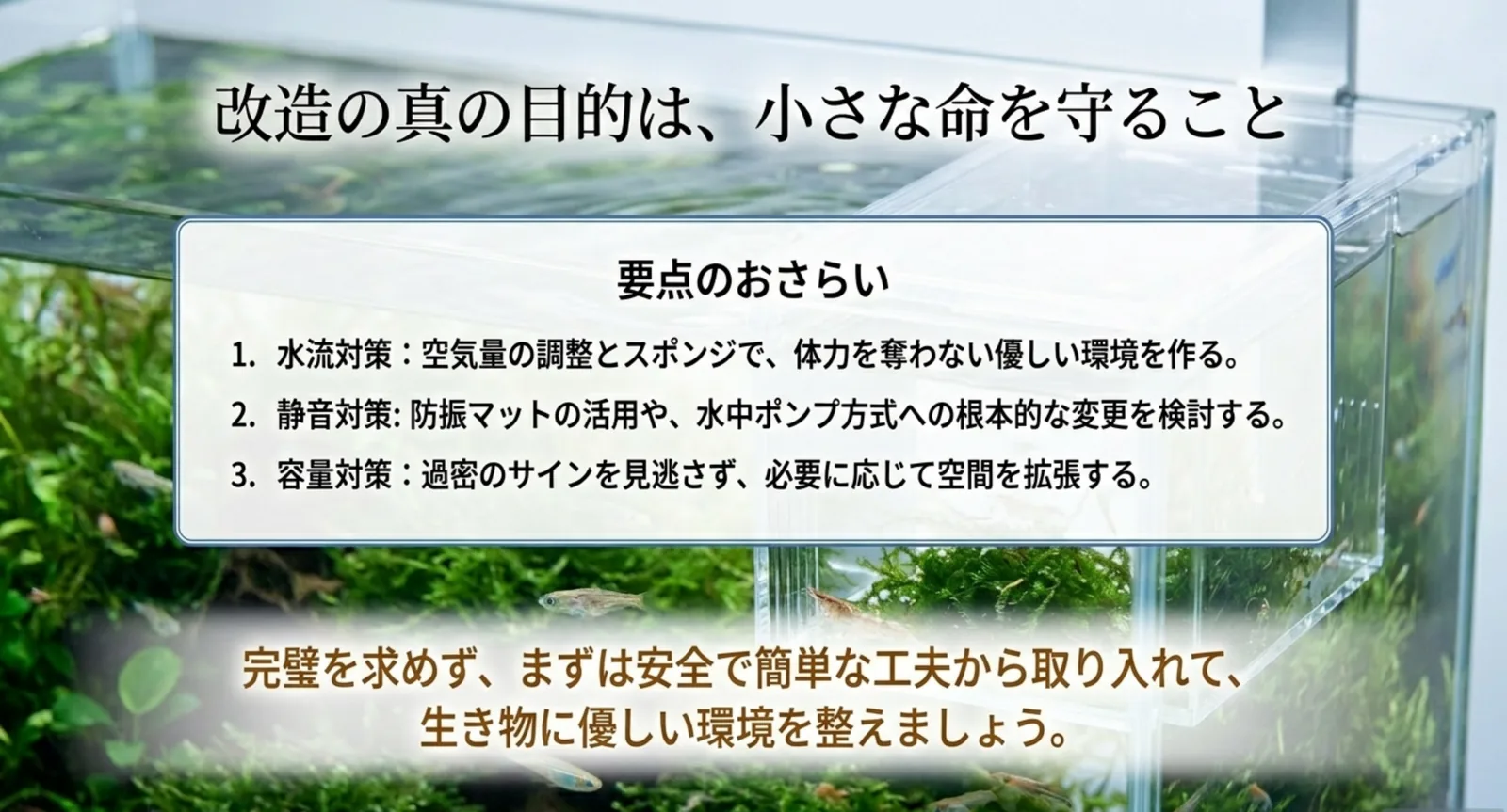 改造の要点をまとめたサテライト飼育環境のイメージ