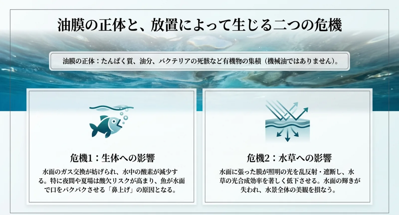水槽の油膜の正体と、放置したときの生体への酸欠リスクと水草への影響を示した図