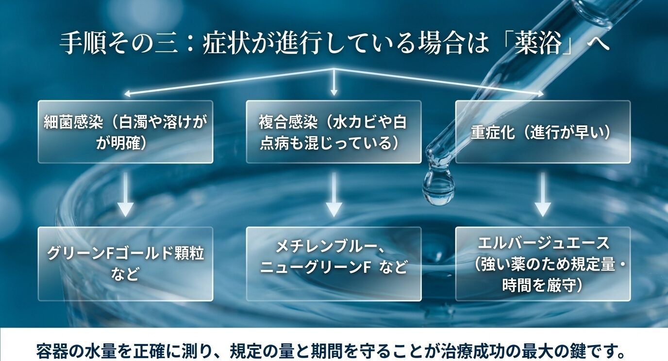 尾ぐされ病の症状に応じて、グリーンFゴールド顆粒、メチレンブルー、ニューグリーンF、エルバージュエースを選ぶ流れを示す図