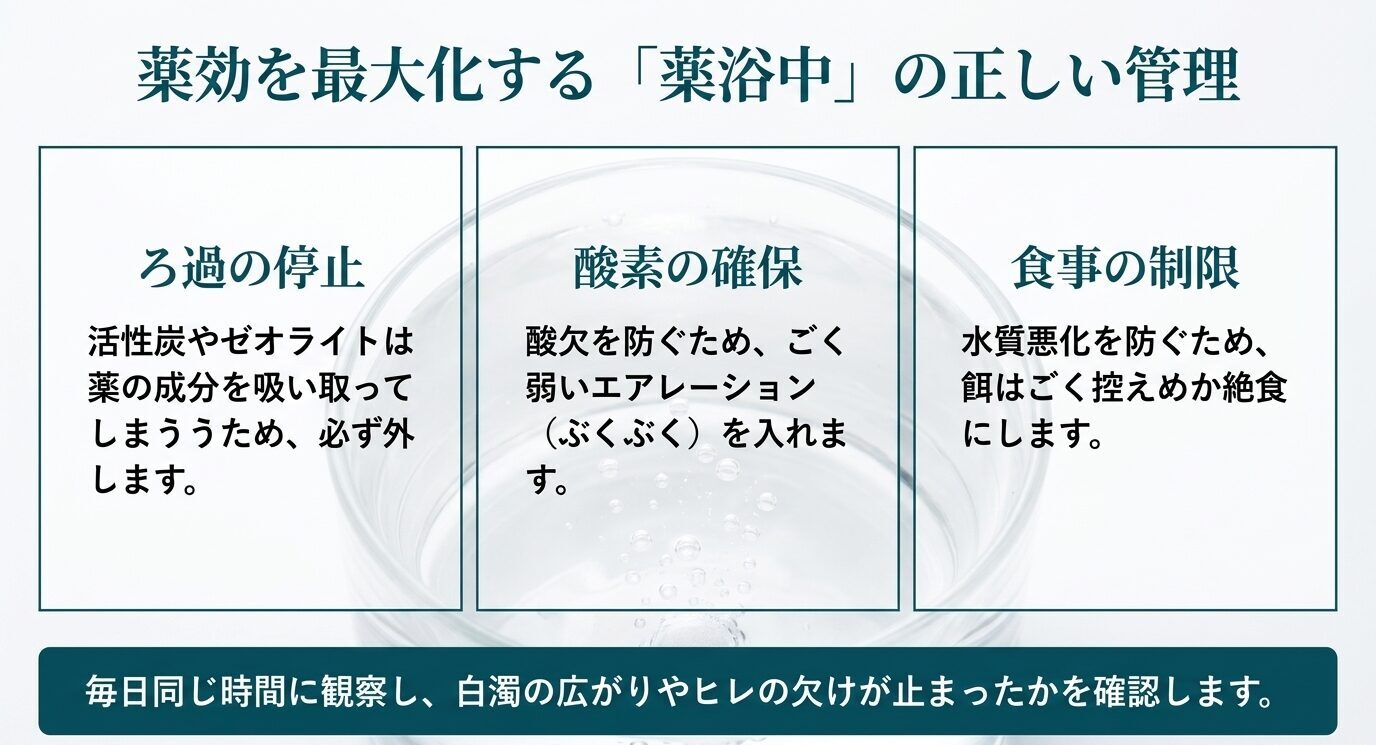 薬浴中の管理として、ろ過の停止、酸素の確保、食事の制限を示した説明画像
