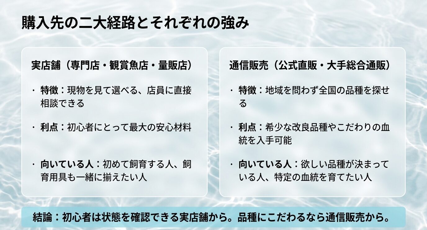 実店舗と通信販売それぞれの特徴、利点、向いている人を比較したスライド
