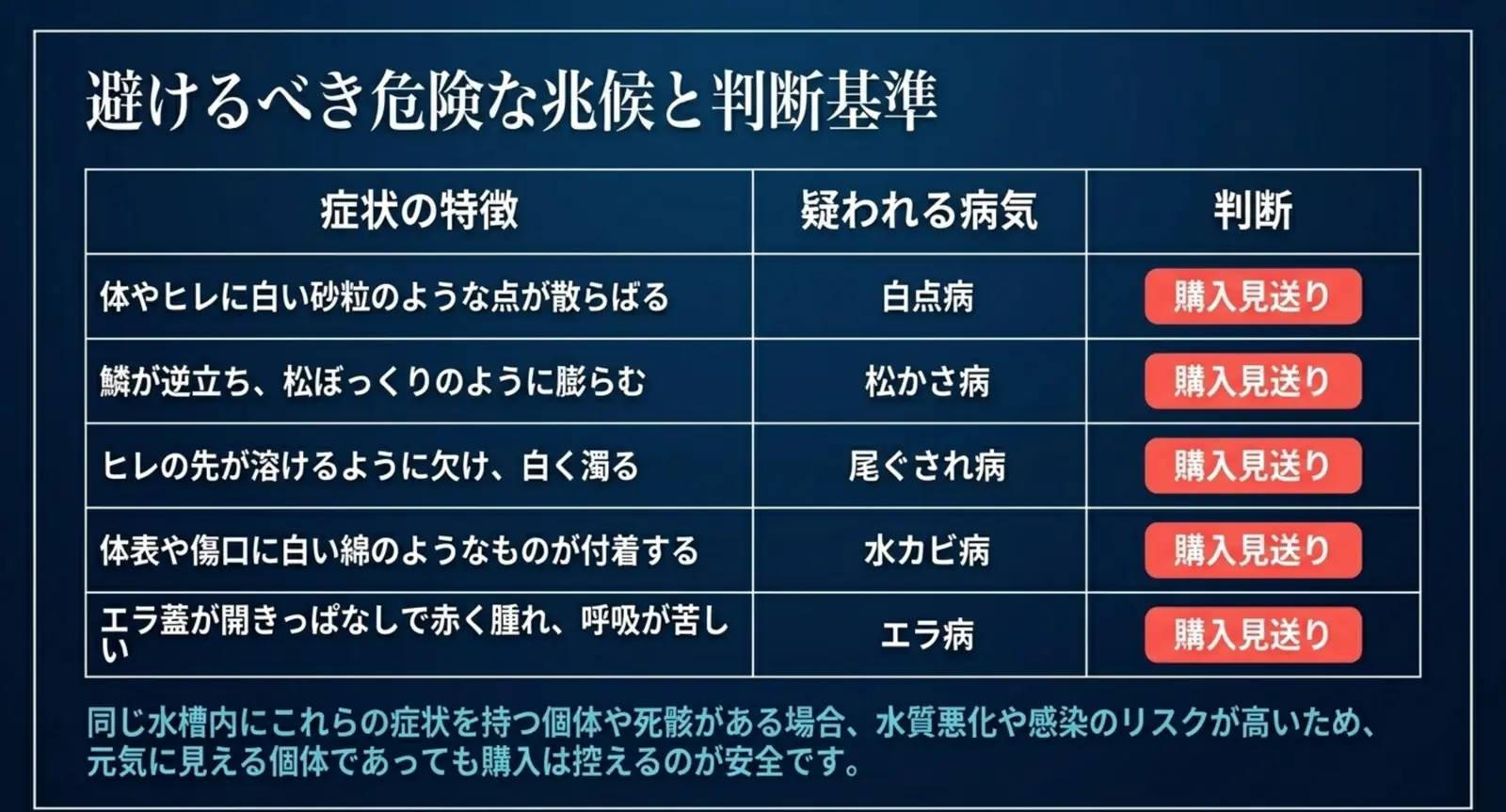 白点病・松かさ病・尾ぐされ病・水カビ病・エラ病など購入を見送るべき危険な兆候の一覧
