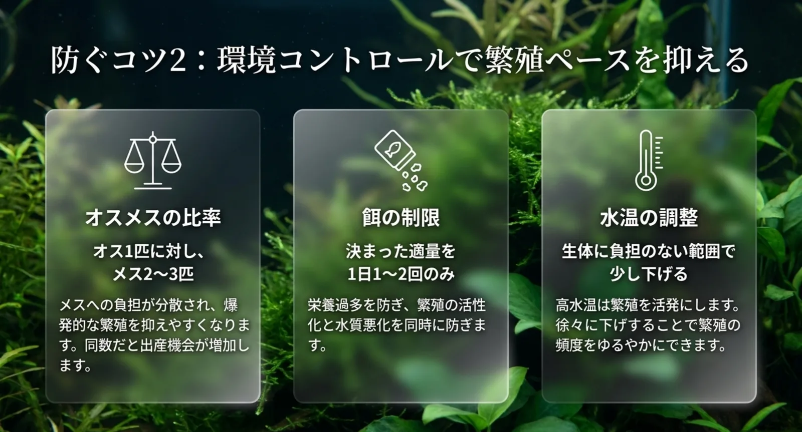 オスメス比率・餌の量・水温の調整で繁殖を抑えるコツの図