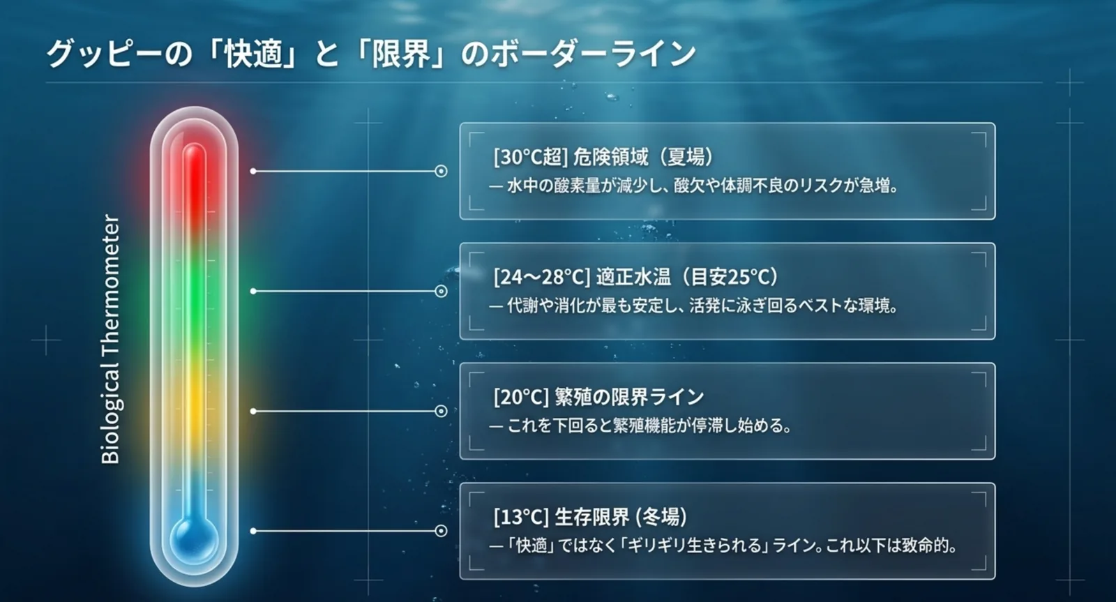 グッピーの適正水温25℃前後と生存限界13℃を示した水温の目安イメージ図