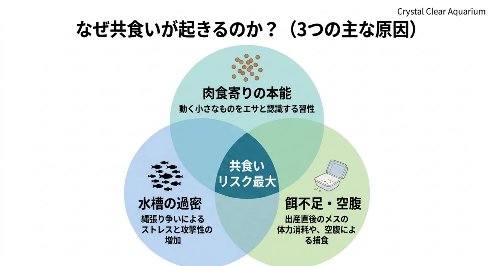 肉食寄りの本能・過密・餌不足という共食いの3原因を示した図