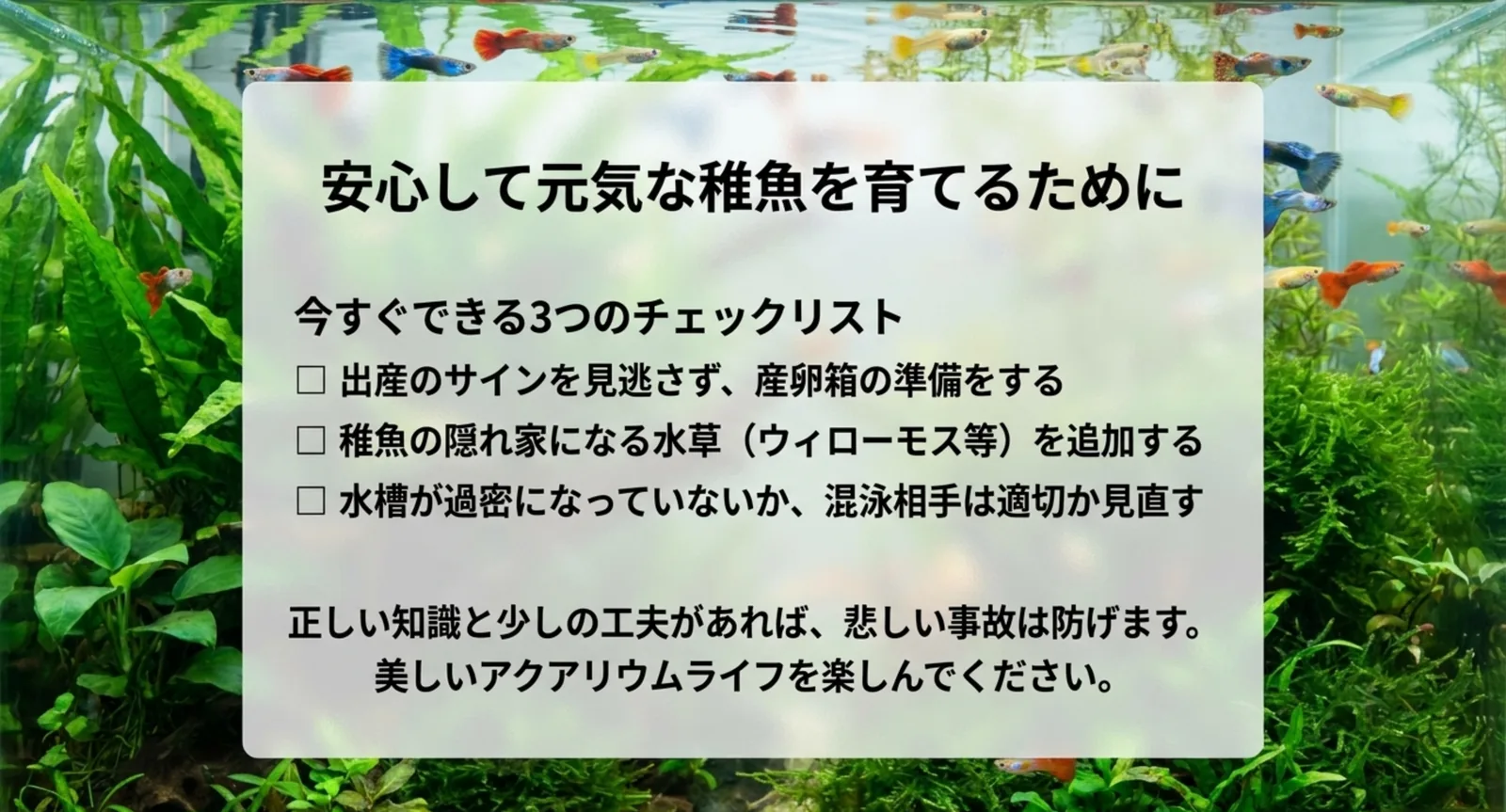 出産サイン・水草・過密の見直しなど稚魚を守る手順のまとめ図