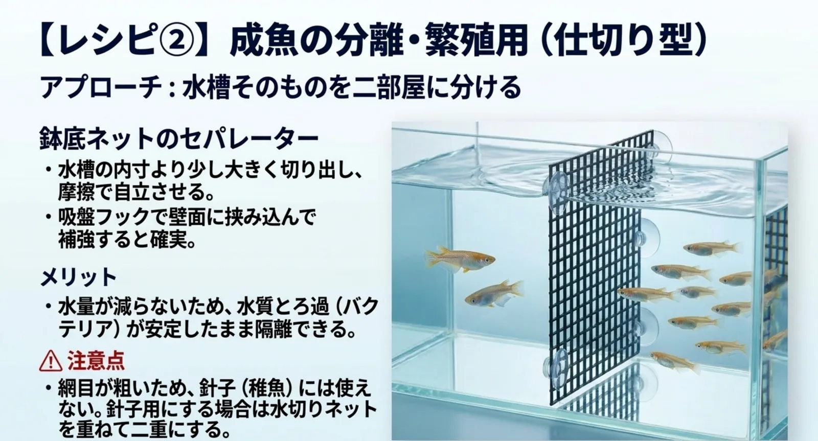 鉢底ネットを水槽の内寸に合わせて切り出し吸盤で固定したセパレーターの図
