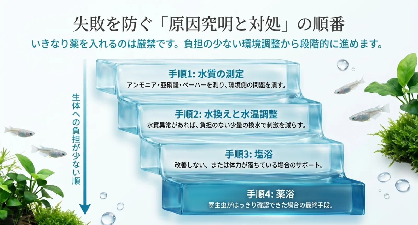 水質の測定・水換えと水温調整・塩浴・薬浴の順に負担の少ない順で進める階段状の図