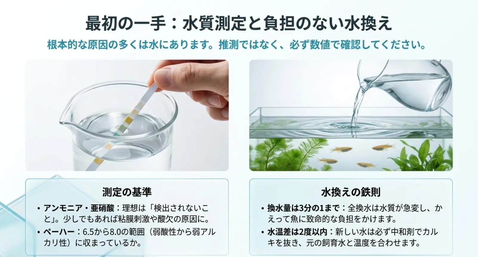試験紙で水質を測る様子と水換えの様子を並べ、測定基準と換水量の目安をまとめた図