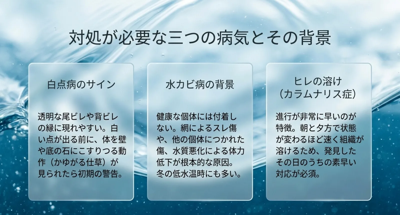 白点病・水カビ病・カラムナリス症それぞれのサインと背景をまとめた図