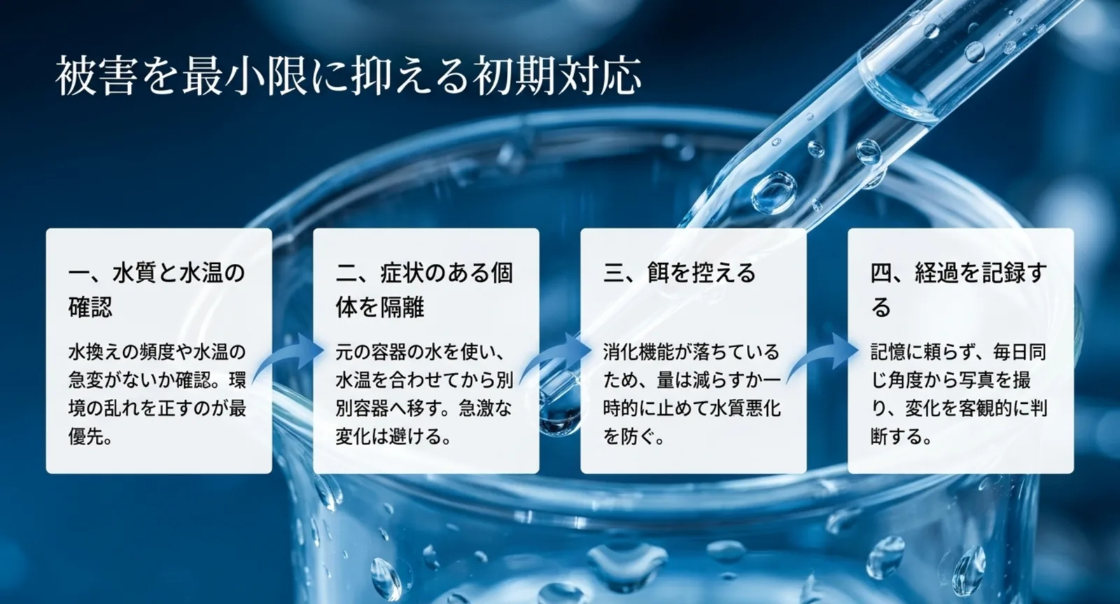 水質と水温の確認・症状のある個体の隔離・餌を控える・経過を記録するという4段階の手順図