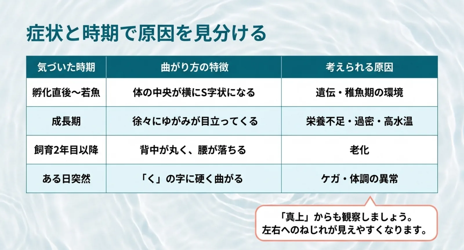 孵化直後・成長期・2年目以降・ある日突然という時期別に曲がり方と考えられる原因を整理した表