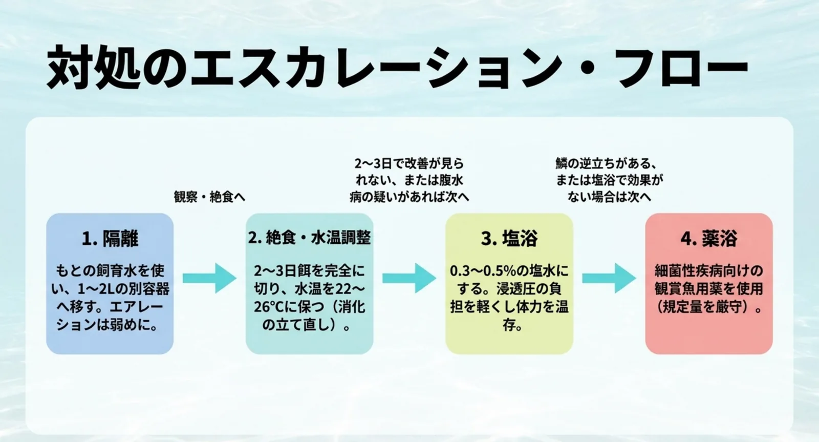 隔離・絶食と水温調整・塩浴・薬浴の順に対処を進める流れを矢印で示した図