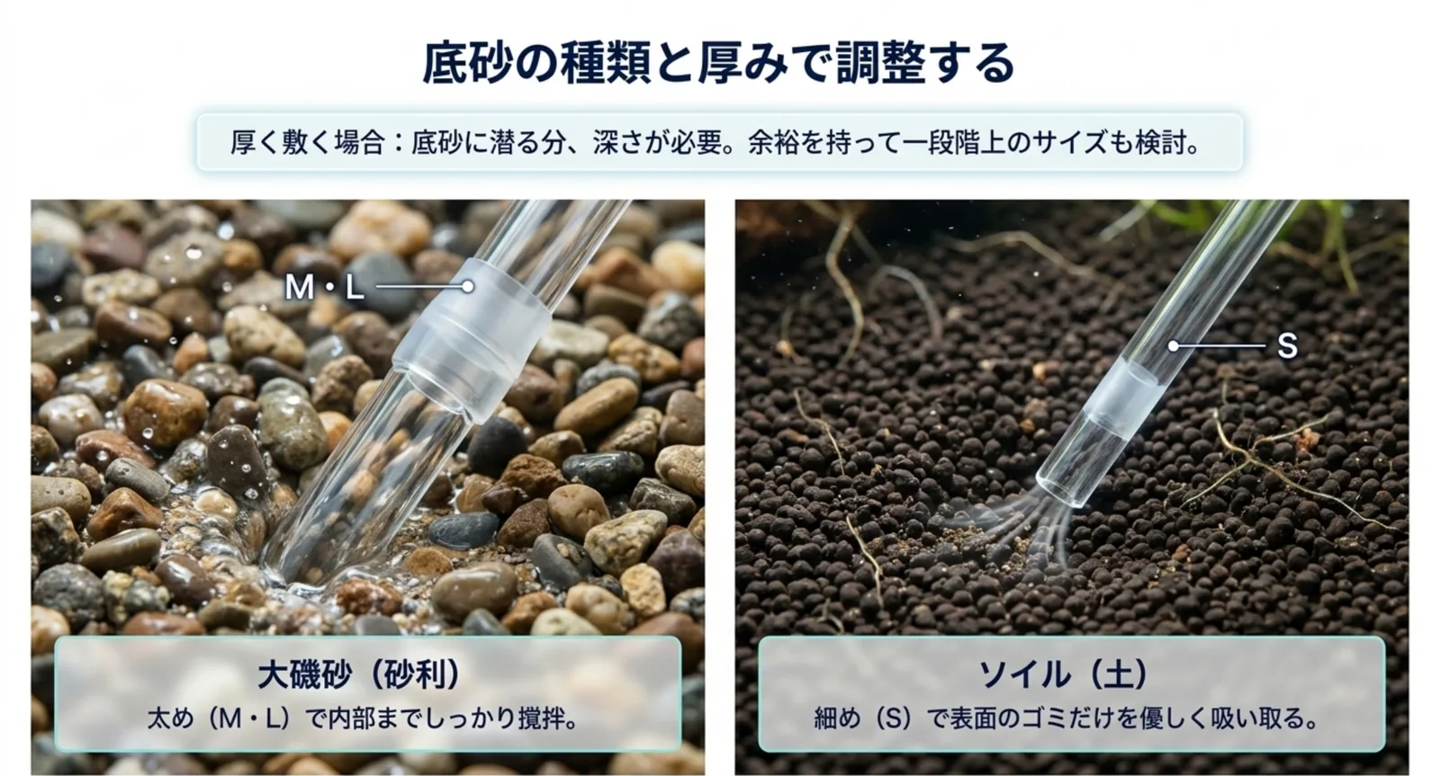 大磯砂には太めのM・L、ソイルには細めのSが向くことを示した底床タイプ別の比較写真